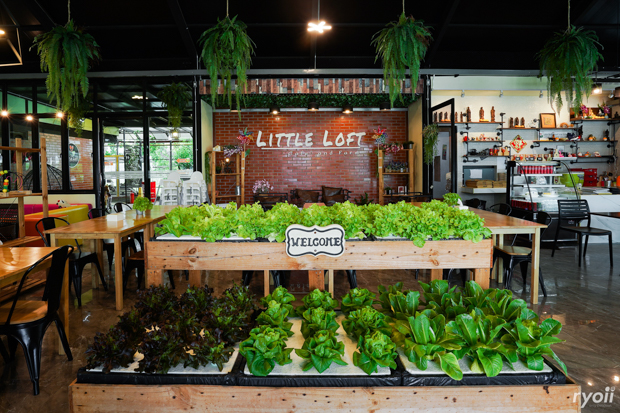 Loft Stilo - Erawan, I-Suan Home Cafe, Glamper Coffee and Bar, So story at Kingkaew, Leader Vintage And Cafe', Kratomcafebanghia, Belief_home, Them.x, Shalala Cafe, Buna Organic Coffee, Lasunya Kafe, Chivit Issara ชีวิตอิสระ, Ginggarn Farm Cafe, กิ่งกาณ ฟาร์ม คาเฟ่, Underthetree, Bougain Cafe &amp; Crafts, Coffee i need u, Bike Terminal &amp; Cafe', GOAT 91 CAFE, REIKOO Coffee