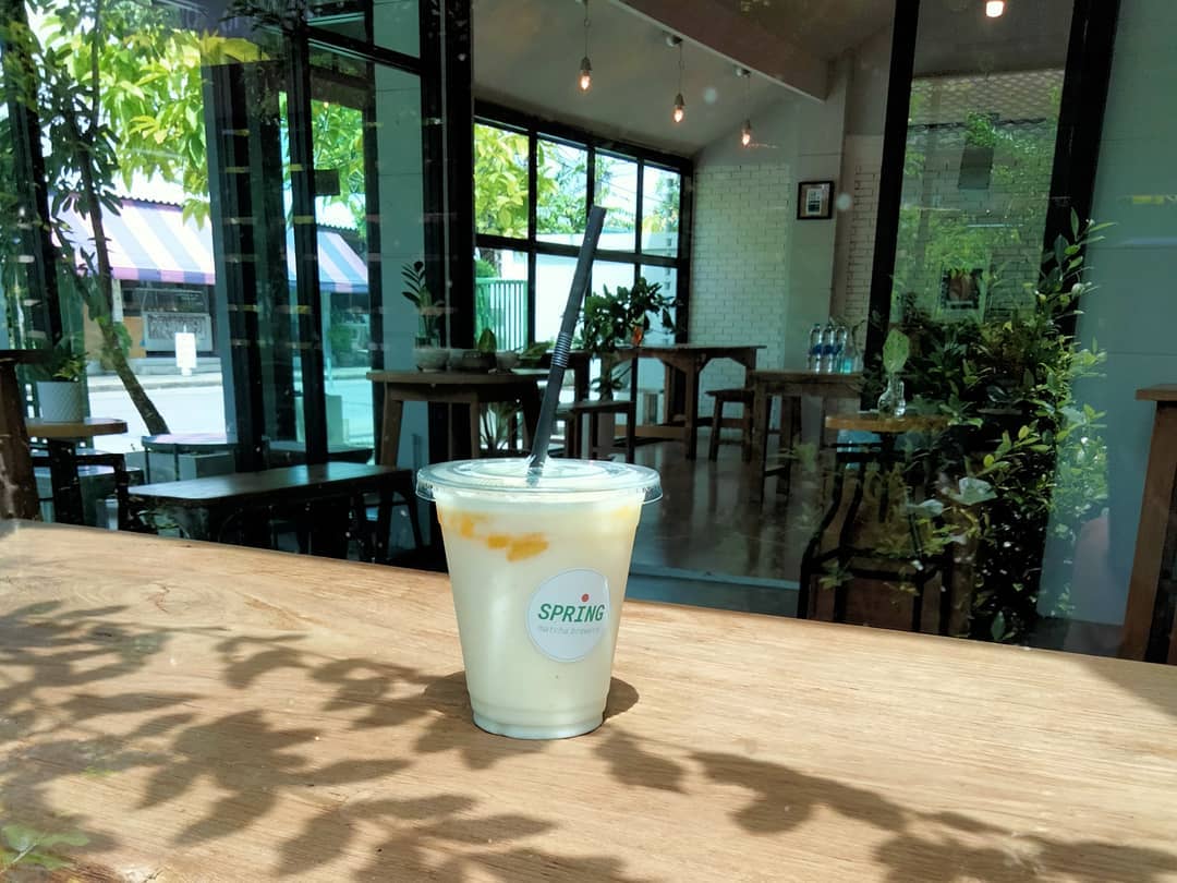 Hidden leaf matcha, Tanuki261.cha, Tealily Cafe, Spring matcha, CLEAR. Matcha, Puritan, ChaEn Matcha, Pablo Cheesetart , Fuku Matcha Thailand