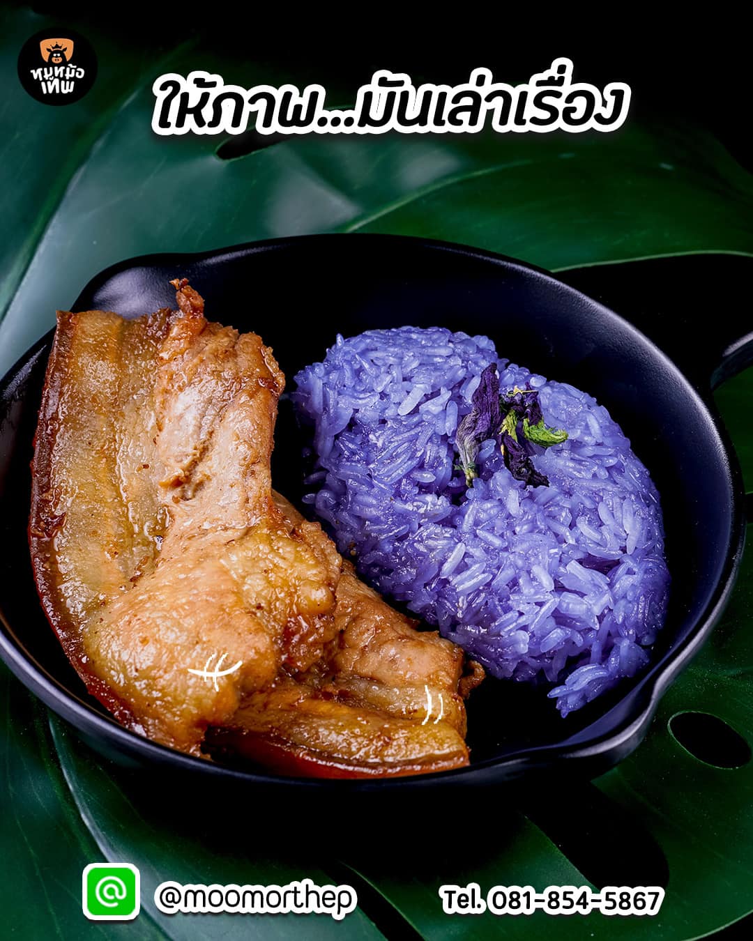 แชมป์ข้าวหมูทอด, สาขาพัทยา, หมูทอด BunBun, หมูทอด โพธิ์งาม - Rare Item, เหนียวหมู DRIVE THRU by i-Dle, ติดลม หมูทอดปลาร้า Delivery, หมูทอดเบรกแตก, หมูทอดจับกัง, หมูทอดราชวัตร, กินกันหมูทอด, หมูทอดติดฟัน, หมูหม้อเทพ, หมูทอดชาววัง, หมูทอดเจ๊จง, เฮงจัง หมูกระเทียม, Zaabmootod, ซุปเปอร์หมูทอด, แม่น้อยหมูทอด