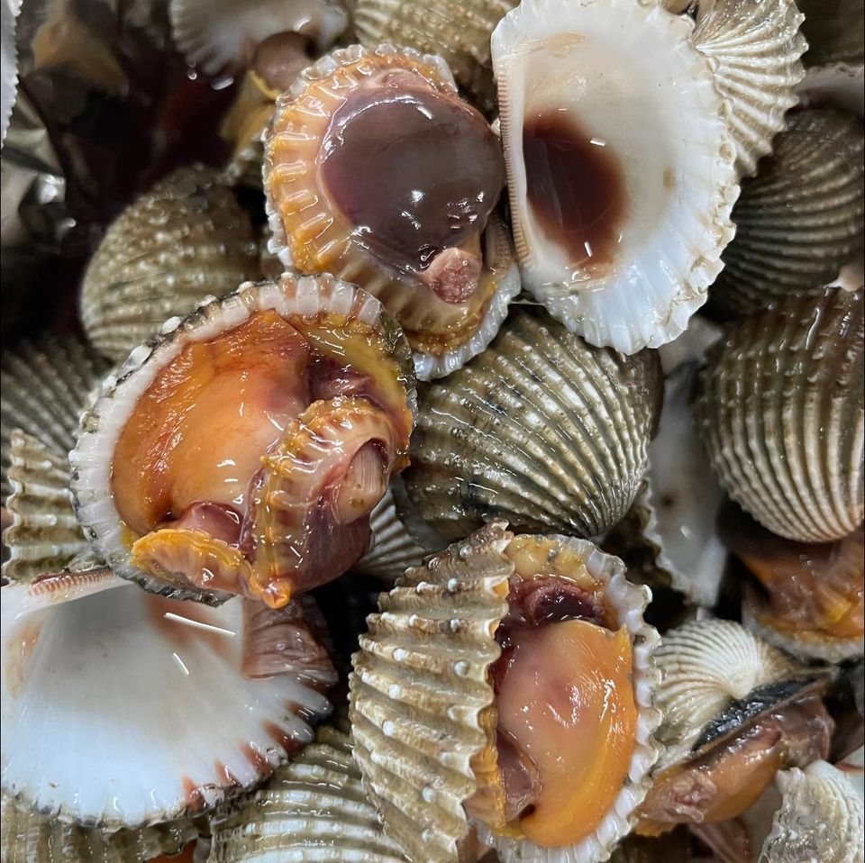 ครัวเจ๊นงค์ซีฟู๊ด, แม่ลูกจันทน์, สาขาบางตะบูน, โคตรหมู, ครัวริมเล ปูเป็น, Luckyseafood 2, ครัวไข่มุกปูเป็น, เจ๊เหมียวทะเลสด, เปลญวน เพชรบุรี, ครัวเพชรน้ำฟ้า, วิวทะเลซีฟู้ดชะอำ, ป้าหยัน, พวงเพชร, ครัวห้วยทราย, กิ่งกาญจน์, รีแล็กซ์ เพชรบุรี, เรือแลเล บางตะบูน, สวนอาหาร "ล้านอร่อย", บางตะบูนเบย์, ครัวปรียานนท์ หาดเจ้าสำราญ, สังเวียนซีฟู้ด Sungwean seafood