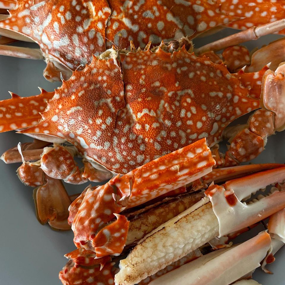 ครัวเจ๊นงค์ซีฟู๊ด, แม่ลูกจันทน์, สาขาบางตะบูน, โคตรหมู, ครัวริมเล ปูเป็น, Luckyseafood 2, ครัวไข่มุกปูเป็น, เจ๊เหมียวทะเลสด, เปลญวน เพชรบุรี, ครัวเพชรน้ำฟ้า, วิวทะเลซีฟู้ดชะอำ, ป้าหยัน, พวงเพชร, ครัวห้วยทราย, กิ่งกาญจน์, รีแล็กซ์ เพชรบุรี, เรือแลเล บางตะบูน, สวนอาหาร "ล้านอร่อย", บางตะบูนเบย์, ครัวปรียานนท์ หาดเจ้าสำราญ, สังเวียนซีฟู้ด Sungwean seafood