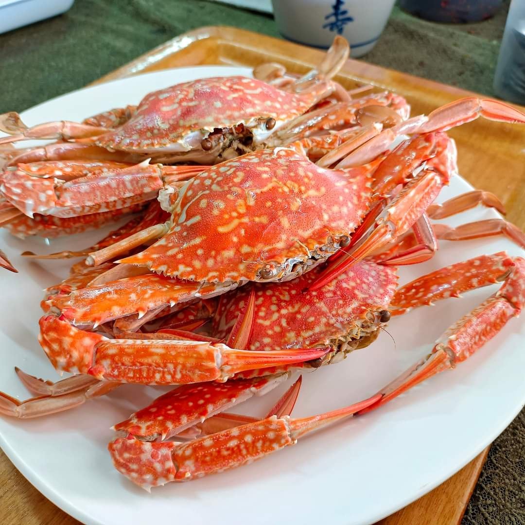 ครัวเจ๊นงค์ซีฟู๊ด, แม่ลูกจันทน์, สาขาบางตะบูน, โคตรหมู, ครัวริมเล ปูเป็น, Luckyseafood 2, ครัวไข่มุกปูเป็น, เจ๊เหมียวทะเลสด, เปลญวน เพชรบุรี, ครัวเพชรน้ำฟ้า, วิวทะเลซีฟู้ดชะอำ, ป้าหยัน, พวงเพชร, ครัวห้วยทราย, กิ่งกาญจน์, รีแล็กซ์ เพชรบุรี, เรือแลเล บางตะบูน, สวนอาหาร "ล้านอร่อย", บางตะบูนเบย์, ครัวปรียานนท์ หาดเจ้าสำราญ, สังเวียนซีฟู้ด Sungwean seafood