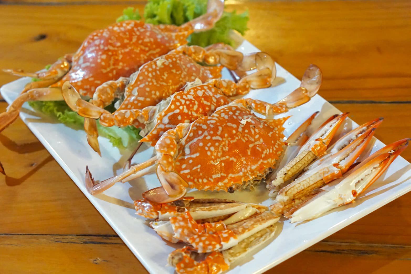 ครัวเจ๊นงค์ซีฟู๊ด, แม่ลูกจันทน์, สาขาบางตะบูน, โคตรหมู, ครัวริมเล ปูเป็น, Luckyseafood 2, ครัวไข่มุกปูเป็น, เจ๊เหมียวทะเลสด, เปลญวน เพชรบุรี, ครัวเพชรน้ำฟ้า, วิวทะเลซีฟู้ดชะอำ, ป้าหยัน, พวงเพชร, ครัวห้วยทราย, กิ่งกาญจน์, รีแล็กซ์ เพชรบุรี, เรือแลเล บางตะบูน, สวนอาหาร "ล้านอร่อย", บางตะบูนเบย์, ครัวปรียานนท์ หาดเจ้าสำราญ, สังเวียนซีฟู้ด Sungwean seafood