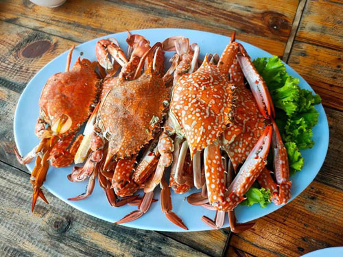 ครัวเจ๊นงค์ซีฟู๊ด, แม่ลูกจันทน์, สาขาบางตะบูน, โคตรหมู, ครัวริมเล ปูเป็น, Luckyseafood 2, ครัวไข่มุกปูเป็น, เจ๊เหมียวทะเลสด, เปลญวน เพชรบุรี, ครัวเพชรน้ำฟ้า, วิวทะเลซีฟู้ดชะอำ, ป้าหยัน, พวงเพชร, ครัวห้วยทราย, กิ่งกาญจน์, รีแล็กซ์ เพชรบุรี, เรือแลเล บางตะบูน, สวนอาหาร "ล้านอร่อย", บางตะบูนเบย์, ครัวปรียานนท์ หาดเจ้าสำราญ, สังเวียนซีฟู้ด Sungwean seafood