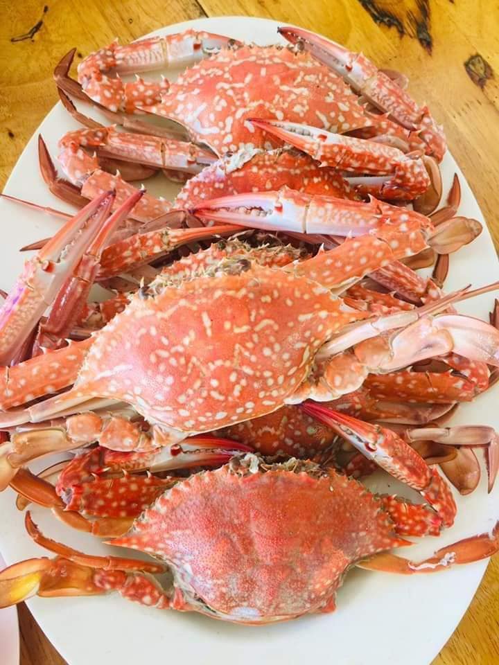 ครัวเจ๊นงค์ซีฟู๊ด, แม่ลูกจันทน์, สาขาบางตะบูน, โคตรหมู, ครัวริมเล ปูเป็น, Luckyseafood 2, ครัวไข่มุกปูเป็น, เจ๊เหมียวทะเลสด, เปลญวน เพชรบุรี, ครัวเพชรน้ำฟ้า, วิวทะเลซีฟู้ดชะอำ, ป้าหยัน, พวงเพชร, ครัวห้วยทราย, กิ่งกาญจน์, รีแล็กซ์ เพชรบุรี, เรือแลเล บางตะบูน, สวนอาหาร "ล้านอร่อย", บางตะบูนเบย์, ครัวปรียานนท์ หาดเจ้าสำราญ, สังเวียนซีฟู้ด Sungwean seafood