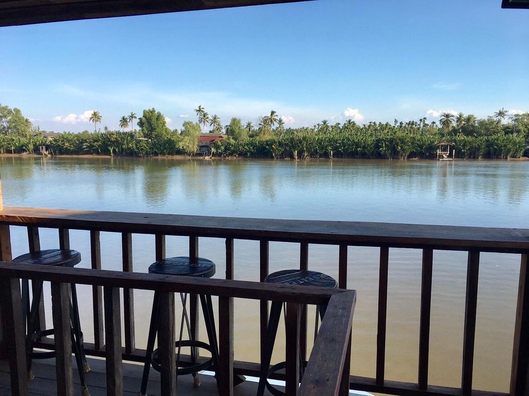 Unplan, ma na cafe', ปลาชุม : Plachum Café &amp; Bistro, Nava House Café - นาวา เฮ้าส์ คาเฟ่, Coffee 123, FarmVille Chachoengsao, บ้านพระจันทร์เวียน, กรีนวิลล์ ผักสลัดเสิร์ฟจากฟาร์ม , D•presso cafe, Baan Melon Desert, Red Cat Cafe ตลาดบ้านใหม่, Lifehouse Cafe &amp; Kitchen, T13 Café