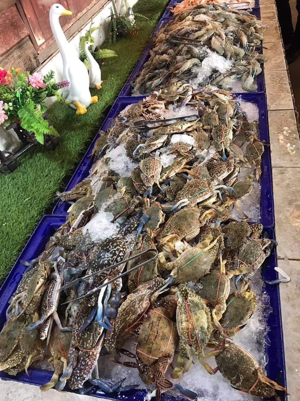 จอมเทียนทะเลเผา, Seafood Station Pattaya, อาตี๋ บุฟเฟ่ต์ ซีฟู้ด, สุดเขต ทะเลเผา, อูมามิ ชิลๆ บุฟเฟ่ต์