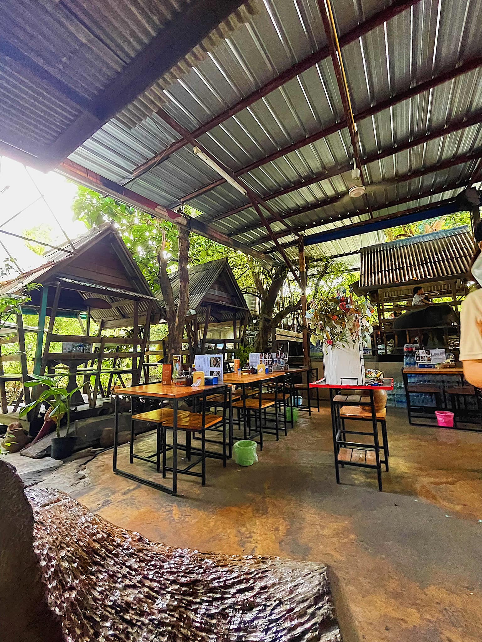 Nomimono Izakaya, กะทิบ้านอาหารไทยและขนม, ก๋วยเตี๋ยวเรือนแพ, Sasi Bangkok, Blooming Cafe, 128 Craft &amp; Soul, อิ่มใจ เสือร้อง, Cafe Casta, ต๋องริมทาง, Wife's Restaurant, บ้านสวนองุ่น, เฮือนลำพูน, COAL Bistro, SUNKISS.bangkok, ร้านดวงเดือนจิ้มจุ่มอาหารอีสาน, ก๋วยเตี๋ยวไม่มีชื่อ ตลิ่งชัน