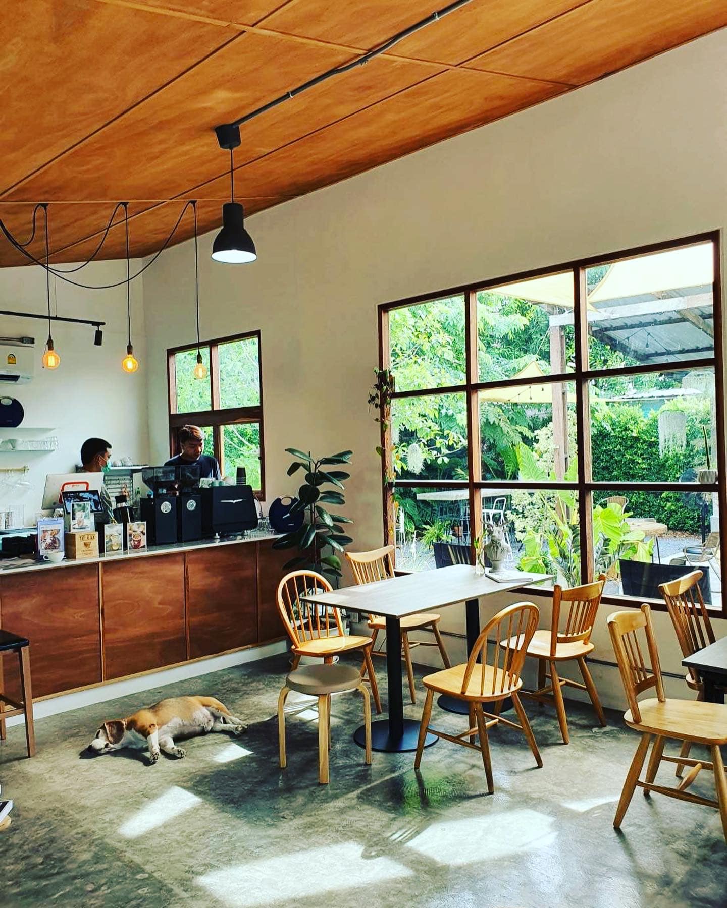 Nomimono Izakaya, กะทิบ้านอาหารไทยและขนม, ก๋วยเตี๋ยวเรือนแพ, Sasi Bangkok, Blooming Cafe, 128 Craft &amp; Soul, อิ่มใจ เสือร้อง, Cafe Casta, ต๋องริมทาง, Wife's Restaurant, บ้านสวนองุ่น, เฮือนลำพูน, COAL Bistro, SUNKISS.bangkok, ร้านดวงเดือนจิ้มจุ่มอาหารอีสาน, ก๋วยเตี๋ยวไม่มีชื่อ ตลิ่งชัน