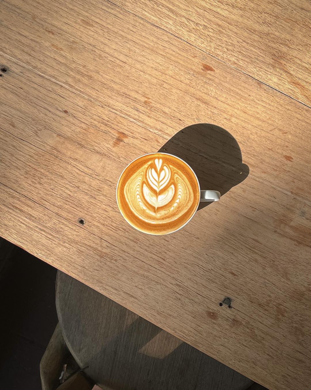 Simple Things, Mindset Cafe, GIVEANDTAKE Cafe House, เถียงนา Coffee and Bakery Farm, TARA Kaffee&amp;Patisserie', Mood Cafe, View doi Coffee Home, One Day One Cafe', สวนพร้าว คาเฟ่, A Little Craft Cafe, Braverly, สวนป่าตากา คาเฟ่, SOON CAFE, Ava Cafe’, Charfinn cafe’, PlumucH, Harmonica 2, River Bar Cafe, Chavee Cafe, TonTong Cafe, สวนเหนือกาแฟ, Diff desofto, สายหวานคาเฟ่, Kyoto Shi Cafe, DRIP GAN, Move on - มูฟออน