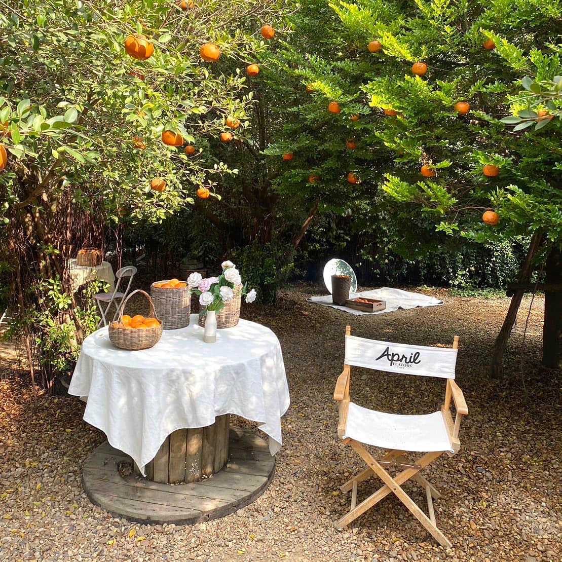 Autumn haus, YOJU Cafe, Lemon Me Farm, STARTCafé, Lot no.8 cafe, 23 cafe and bistro, STAY WITH TREE cafe, April Flavors cafe, Destiny cafe', บ้านปายนา, DUBUA CAFE, House of Chandra - เสน่ห์จันทน์ , 11 Elephant Dessert Cafe, Hangar Cafe', Merce Cafe & Restaurant, Ton Khao Terrace, O2 Kaffee & Bistro, Pomelo Cafe, Little tree, Chinu Coffee