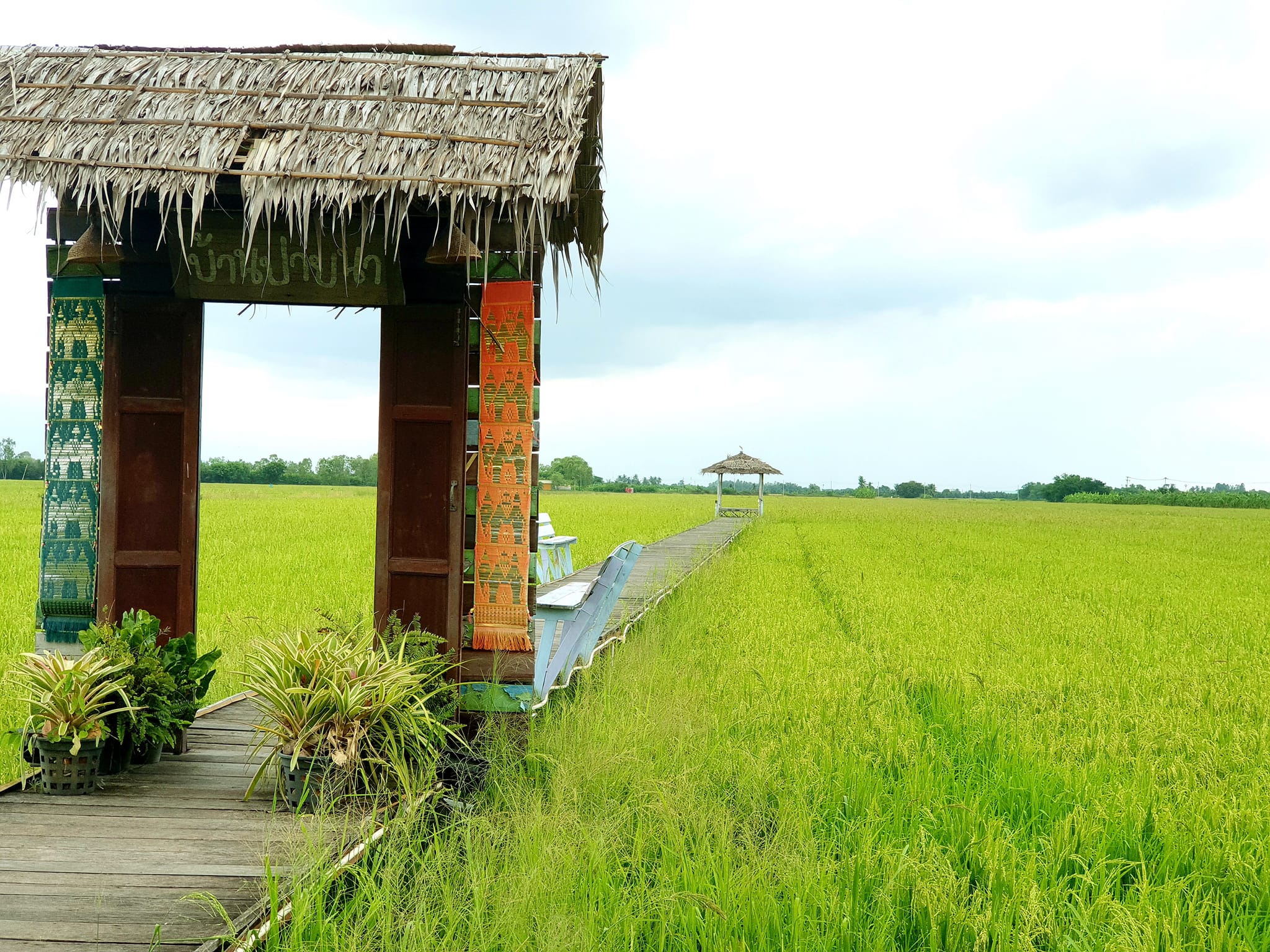 Autumn haus, YOJU Cafe, Lemon Me Farm, STARTCafé, Lot no.8 cafe, 23 cafe and bistro, STAY WITH TREE cafe, April Flavors cafe, Destiny cafe', บ้านปายนา, DUBUA CAFE, House of Chandra - เสน่ห์จันทน์ , 11 Elephant Dessert Cafe, Hangar Cafe', Merce Cafe & Restaurant, Ton Khao Terrace, O2 Kaffee & Bistro, Pomelo Cafe, Little tree, Chinu Coffee