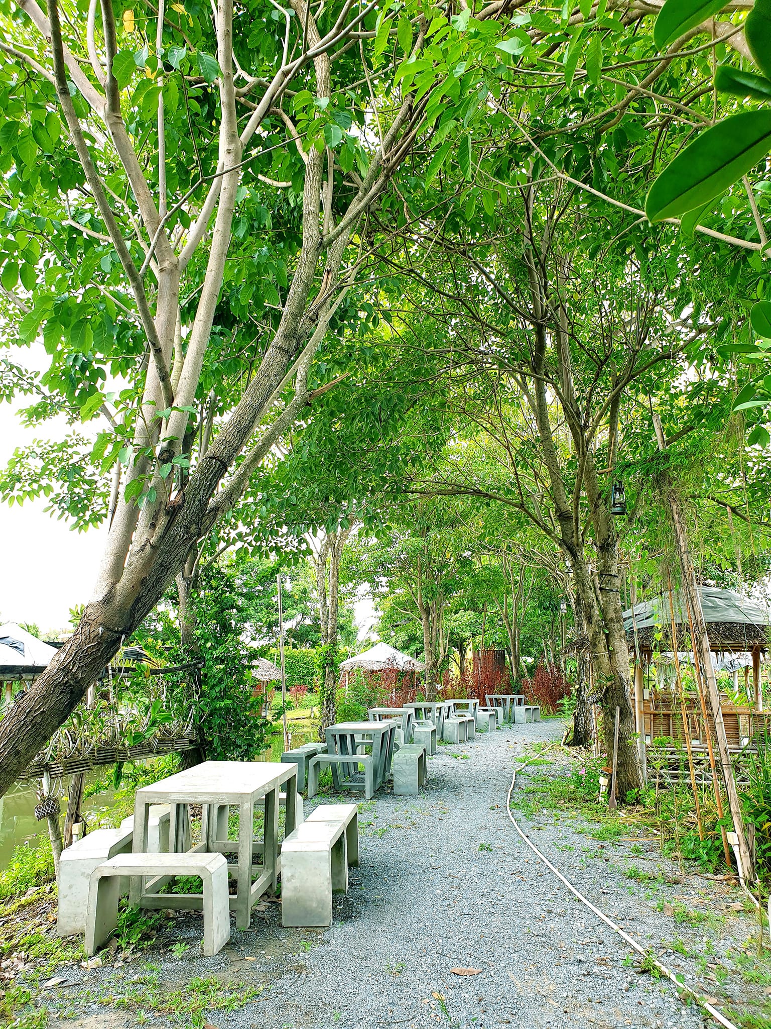 Autumn haus, YOJU Cafe, Lemon Me Farm, STARTCafé, Lot no.8 cafe, 23 cafe and bistro, STAY WITH TREE cafe, April Flavors cafe, Destiny cafe', บ้านปายนา, DUBUA CAFE, House of Chandra - เสน่ห์จันทน์ , 11 Elephant Dessert Cafe, Hangar Cafe', Merce Cafe & Restaurant, Ton Khao Terrace, O2 Kaffee & Bistro, Pomelo Cafe, Little tree, Chinu Coffee