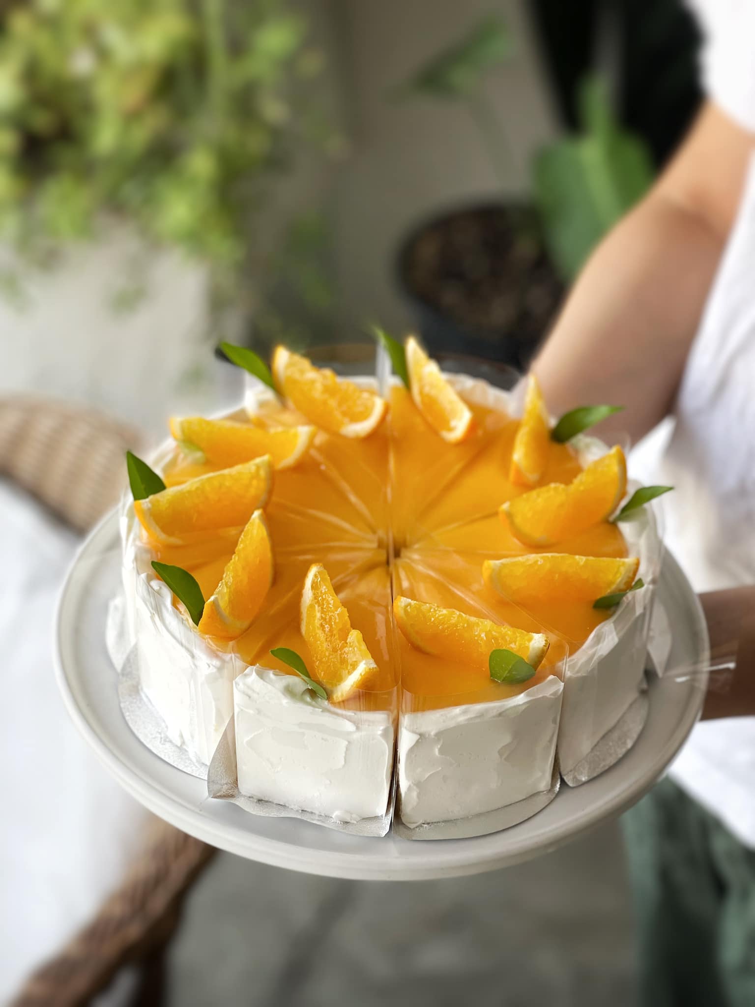 Autumn haus, YOJU Cafe, Lemon Me Farm, STARTCafé, Lot no.8 cafe, 23 cafe and bistro, STAY WITH TREE cafe, April Flavors cafe, Destiny cafe', บ้านปายนา, DUBUA CAFE, House of Chandra - เสน่ห์จันทน์ , 11 Elephant Dessert Cafe, Hangar Cafe', Merce Cafe & Restaurant, Ton Khao Terrace, O2 Kaffee & Bistro, Pomelo Cafe, Little tree, Chinu Coffee