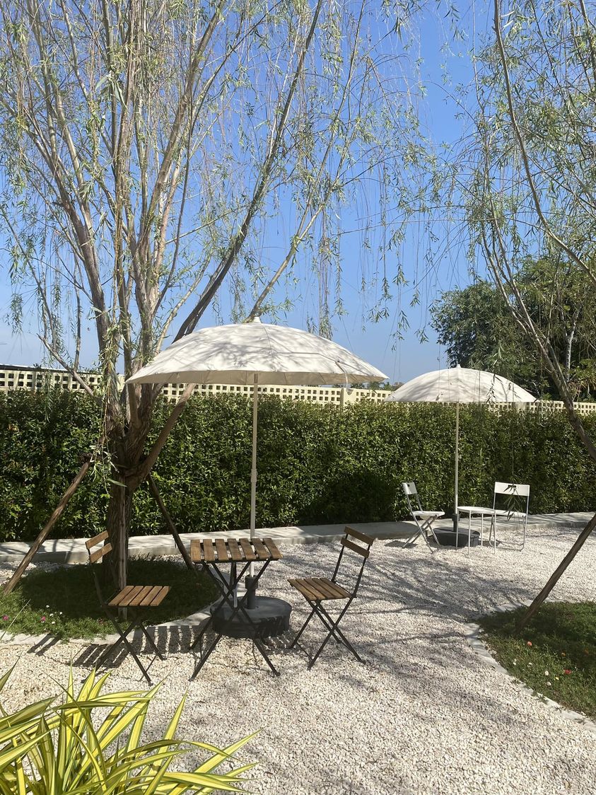 Autumn haus, YOJU Cafe, Lemon Me Farm, STARTCafé, Lot no.8 cafe, 23 cafe and bistro, STAY WITH TREE cafe, April Flavors cafe, Destiny cafe', บ้านปายนา, DUBUA CAFE, House of Chandra - เสน่ห์จันทน์ , 11 Elephant Dessert Cafe, Hangar Cafe', Merce Cafe & Restaurant, Ton Khao Terrace, O2 Kaffee & Bistro, Pomelo Cafe, Little tree, Chinu Coffee