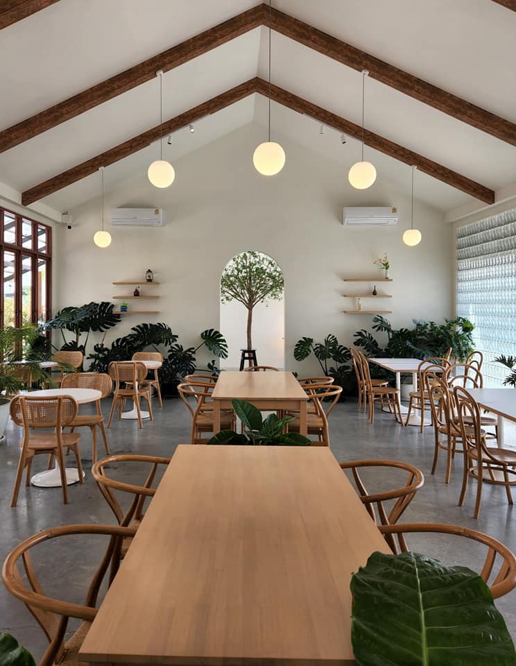 Autumn haus, YOJU Cafe, Lemon Me Farm, STARTCafé, Lot no.8 cafe, 23 cafe and bistro, STAY WITH TREE cafe, April Flavors cafe, Destiny cafe', บ้านปายนา, DUBUA CAFE, House of Chandra - เสน่ห์จันทน์ , 11 Elephant Dessert Cafe, Hangar Cafe', Merce Cafe & Restaurant, Ton Khao Terrace, O2 Kaffee & Bistro, Pomelo Cafe, Little tree, Chinu Coffee