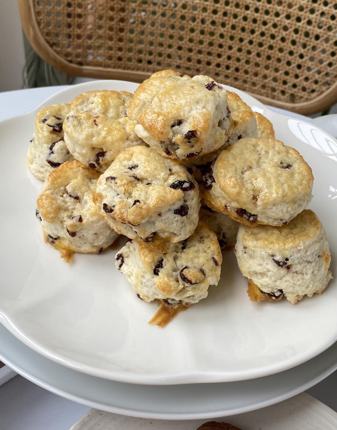 Autumn haus, YOJU Cafe, Lemon Me Farm, STARTCafé, Lot no.8 cafe, 23 cafe and bistro, STAY WITH TREE cafe, April Flavors cafe, Destiny cafe', บ้านปายนา, DUBUA CAFE, House of Chandra - เสน่ห์จันทน์ , 11 Elephant Dessert Cafe, Hangar Cafe', Merce Cafe & Restaurant, Ton Khao Terrace, O2 Kaffee & Bistro, Pomelo Cafe, Little tree, Chinu Coffee