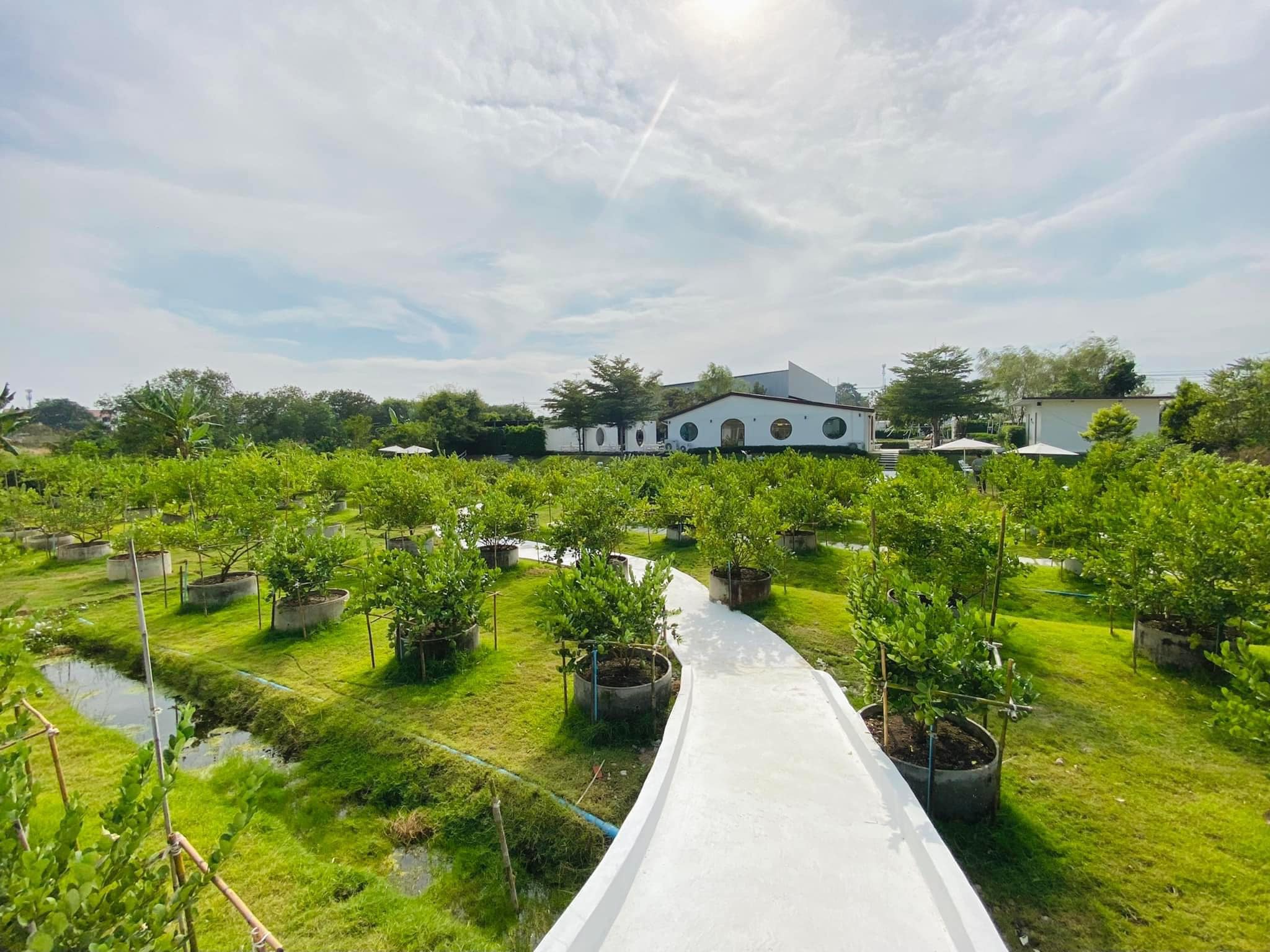 Autumn haus, YOJU Cafe, Lemon Me Farm, STARTCafé, Lot no.8 cafe, 23 cafe and bistro, STAY WITH TREE cafe, April Flavors cafe, Destiny cafe', บ้านปายนา, DUBUA CAFE, House of Chandra - เสน่ห์จันทน์ , 11 Elephant Dessert Cafe, Hangar Cafe', Merce Cafe & Restaurant, Ton Khao Terrace, O2 Kaffee & Bistro, Pomelo Cafe, Little tree, Chinu Coffee