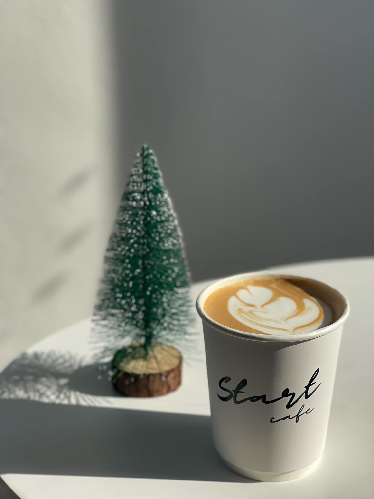 Autumn haus, YOJU Cafe, Lemon Me Farm, STARTCafé, Lot no.8 cafe, 23 cafe and bistro, STAY WITH TREE cafe, April Flavors cafe, Destiny cafe', บ้านปายนา, DUBUA CAFE, House of Chandra - เสน่ห์จันทน์ , 11 Elephant Dessert Cafe, Hangar Cafe', Merce Cafe & Restaurant, Ton Khao Terrace, O2 Kaffee & Bistro, Pomelo Cafe, Little tree, Chinu Coffee