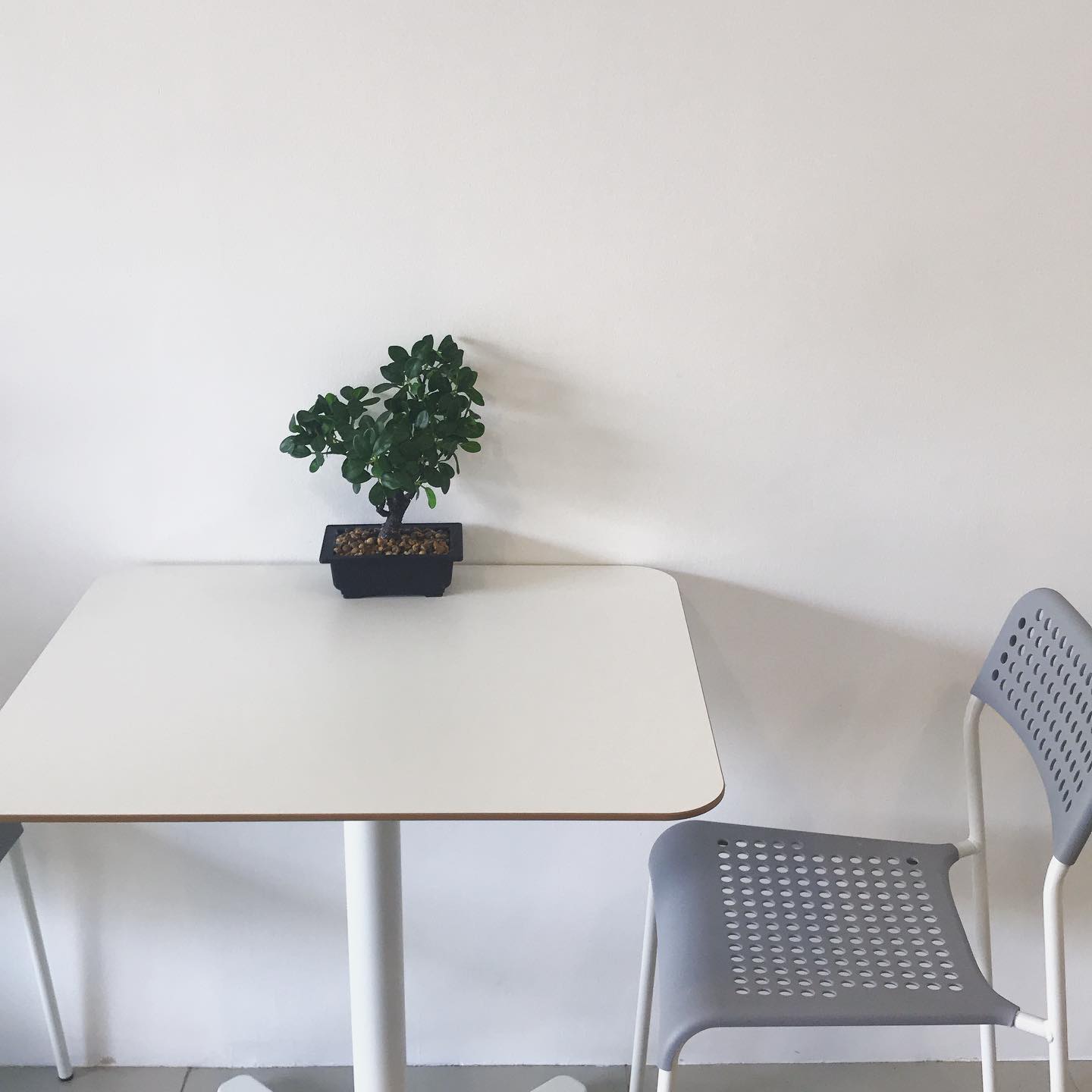 Sunny Flavour, Kiki Cheesecake Suksawat, MORA Studio, Pablo Cheesetart , Keto Basque Burnt Cheesecake , LeTAO Cafe, Ivan factory