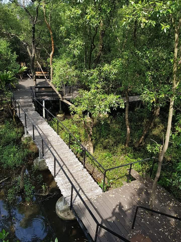 CURVE, STIRR Coffee, Haus Coffee and Space, SeaSeoul cafe, 1degreesnorth, Kongkang Kafe, กาเเฟริมน้ำ บ้านชูใจ, สวนก๋ง, กาแฟบ้านทวด, COFFEE BEACH, Jump at Sea, Whitebeam coffee &amp; eatery