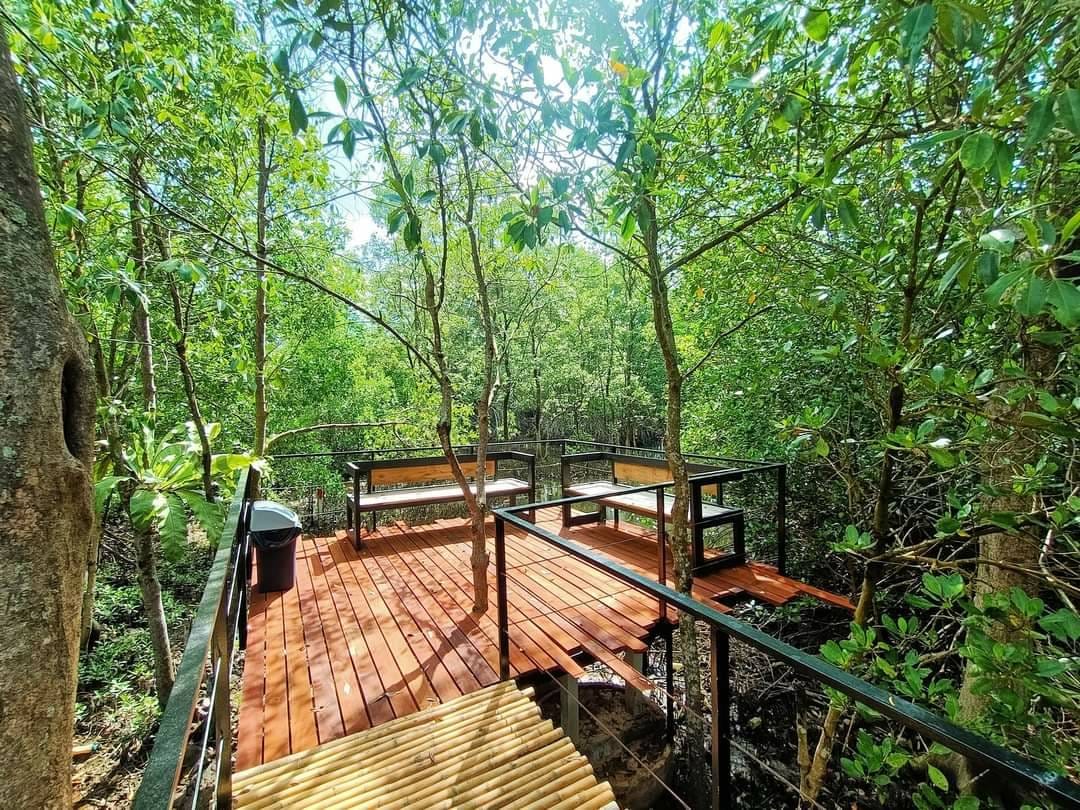 CURVE, STIRR Coffee, Haus Coffee and Space, SeaSeoul cafe, 1degreesnorth, Kongkang Kafe, กาเเฟริมน้ำ บ้านชูใจ, สวนก๋ง, กาแฟบ้านทวด, COFFEE BEACH, Jump at Sea, Whitebeam coffee &amp; eatery