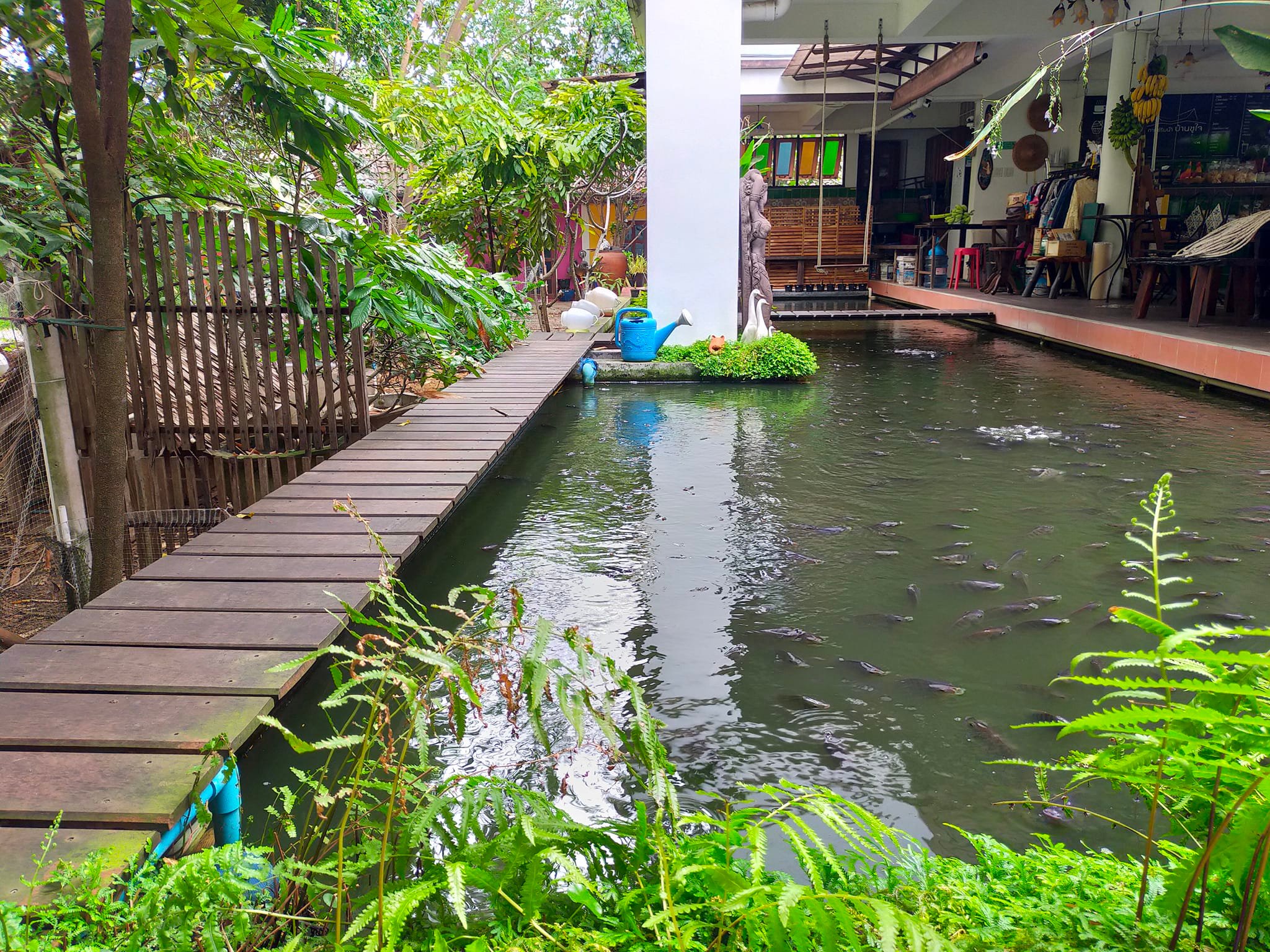 CURVE, STIRR Coffee, Haus Coffee and Space, SeaSeoul cafe, 1degreesnorth, Kongkang Kafe, กาเเฟริมน้ำ บ้านชูใจ, สวนก๋ง, กาแฟบ้านทวด, COFFEE BEACH, Jump at Sea, Whitebeam coffee &amp; eatery