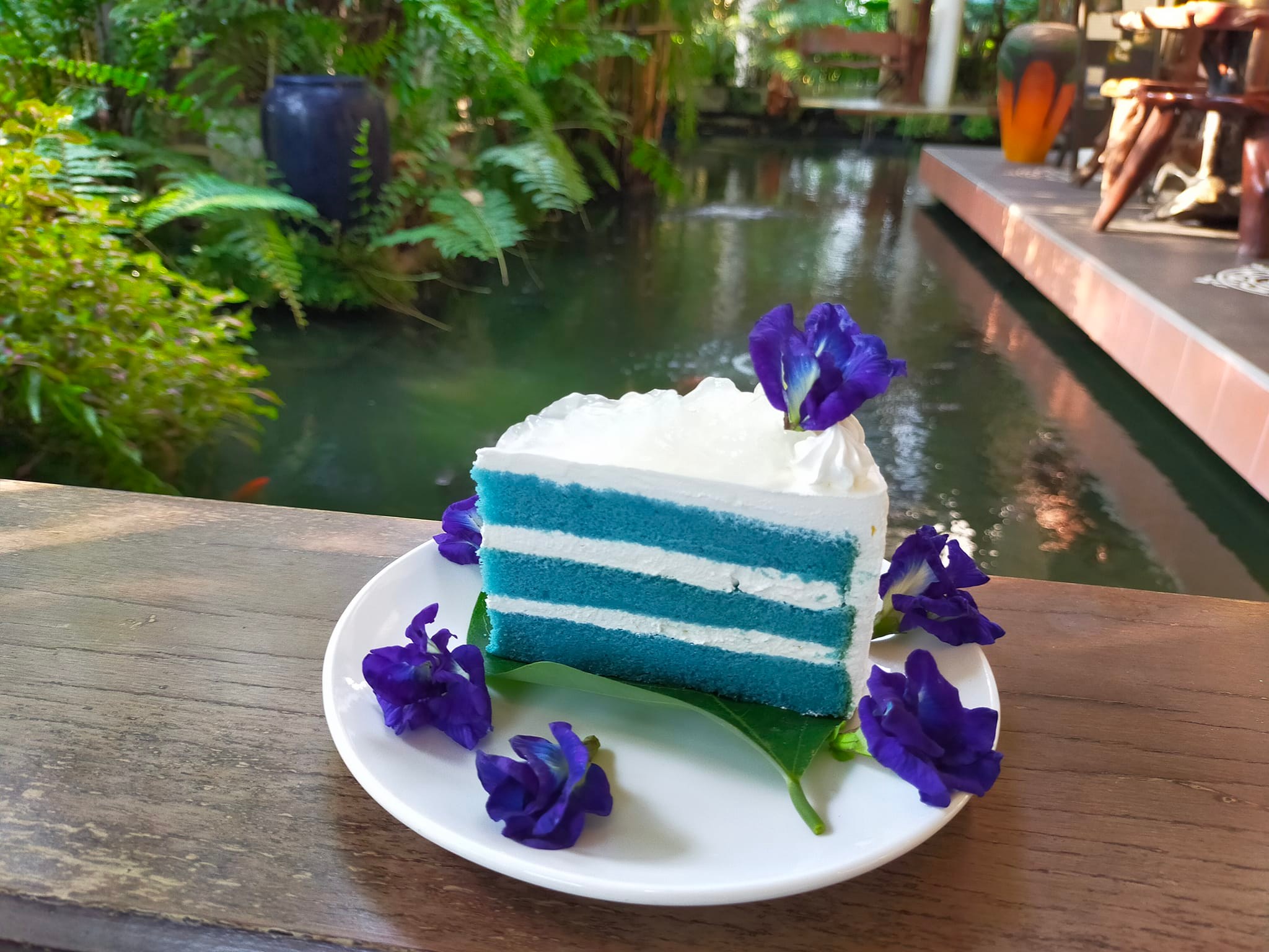 CURVE, STIRR Coffee, Haus Coffee and Space, SeaSeoul cafe, 1degreesnorth, Kongkang Kafe, กาเเฟริมน้ำ บ้านชูใจ, สวนก๋ง, กาแฟบ้านทวด, COFFEE BEACH, Jump at Sea, Whitebeam coffee &amp; eatery