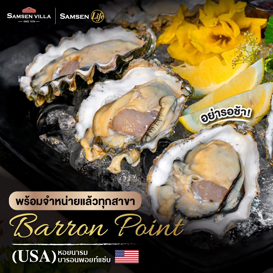 Rhapsody, บ้านส้มตำเมลดา พระนั่งเกล้า, โรงน้ำชา 90', Totoya, จุ่มจุ่ม อีสาน-ชาบู บุฟเฟ่ต์