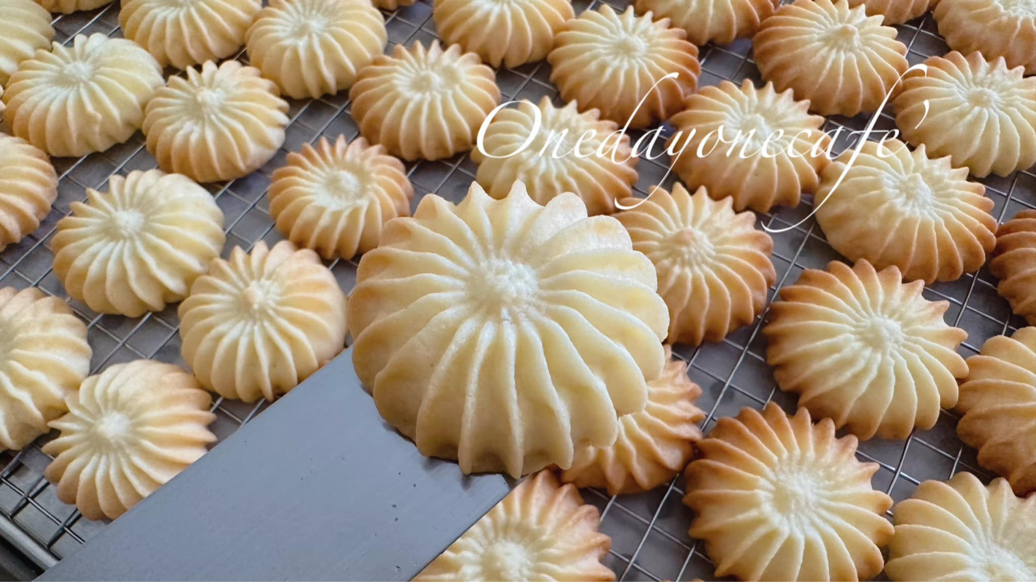 Simple Things, Mindset Cafe, GIVEANDTAKE Cafe House, เถียงนา Coffee and Bakery Farm, TARA Kaffee&amp;Patisserie', Mood Cafe, View doi Coffee Home, One Day One Cafe', สวนพร้าว คาเฟ่, A Little Craft Cafe, Braverly, สวนป่าตากา คาเฟ่, SOON CAFE, Ava Cafe’, Charfinn cafe’, PlumucH, Harmonica 2, River Bar Cafe, Chavee Cafe, TonTong Cafe, สวนเหนือกาแฟ, Diff desofto, สายหวานคาเฟ่, Kyoto Shi Cafe, DRIP GAN, Move on - มูฟออน