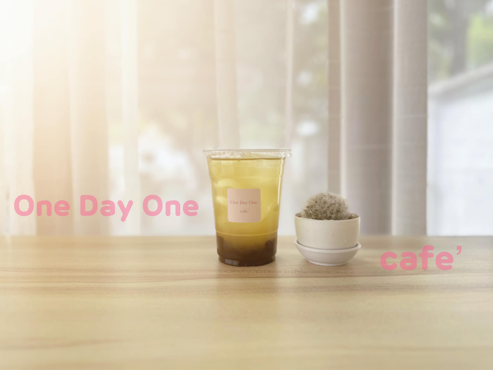 Simple Things, Mindset Cafe, GIVEANDTAKE Cafe House, เถียงนา Coffee and Bakery Farm, TARA Kaffee&amp;Patisserie', Mood Cafe, View doi Coffee Home, One Day One Cafe', สวนพร้าว คาเฟ่, A Little Craft Cafe, Braverly, สวนป่าตากา คาเฟ่, SOON CAFE, Ava Cafe’, Charfinn cafe’, PlumucH, Harmonica 2, River Bar Cafe, Chavee Cafe, TonTong Cafe, สวนเหนือกาแฟ, Diff desofto, สายหวานคาเฟ่, Kyoto Shi Cafe, DRIP GAN, Move on - มูฟออน