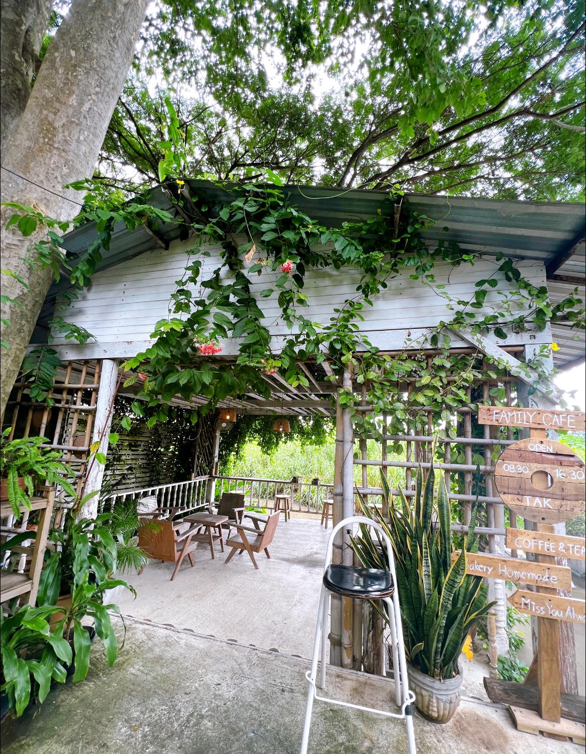 Simple Things, Mindset Cafe, GIVEANDTAKE Cafe House, เถียงนา Coffee and Bakery Farm, TARA Kaffee&amp;Patisserie', Mood Cafe, View doi Coffee Home, One Day One Cafe', สวนพร้าว คาเฟ่, A Little Craft Cafe, Braverly, สวนป่าตากา คาเฟ่, SOON CAFE, Ava Cafe’, Charfinn cafe’, PlumucH, Harmonica 2, River Bar Cafe, Chavee Cafe, TonTong Cafe, สวนเหนือกาแฟ, Diff desofto, สายหวานคาเฟ่, Kyoto Shi Cafe, DRIP GAN, Move on - มูฟออน