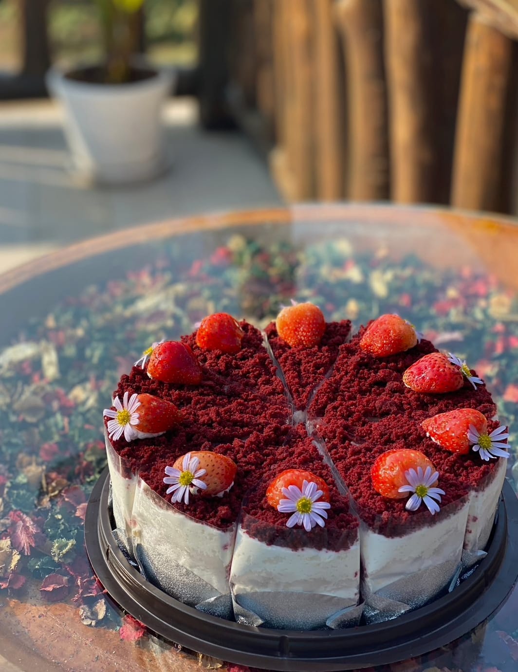 Simple Things, Mindset Cafe, GIVEANDTAKE Cafe House, เถียงนา Coffee and Bakery Farm, TARA Kaffee&amp;Patisserie', Mood Cafe, View doi Coffee Home, One Day One Cafe', สวนพร้าว คาเฟ่, A Little Craft Cafe, Braverly, สวนป่าตากา คาเฟ่, SOON CAFE, Ava Cafe’, Charfinn cafe’, PlumucH, Harmonica 2, River Bar Cafe, Chavee Cafe, TonTong Cafe, สวนเหนือกาแฟ, Diff desofto, สายหวานคาเฟ่, Kyoto Shi Cafe, DRIP GAN, Move on - มูฟออน