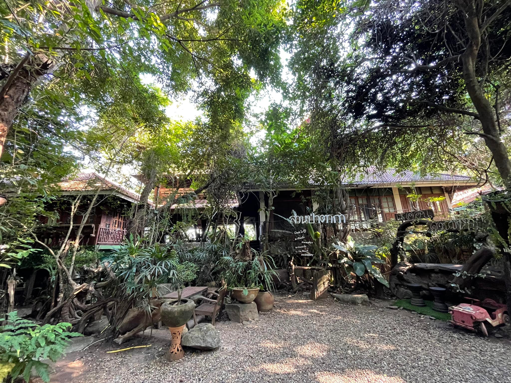 Simple Things, Mindset Cafe, GIVEANDTAKE Cafe House, เถียงนา Coffee and Bakery Farm, TARA Kaffee&amp;Patisserie', Mood Cafe, View doi Coffee Home, One Day One Cafe', สวนพร้าว คาเฟ่, A Little Craft Cafe, Braverly, สวนป่าตากา คาเฟ่, SOON CAFE, Ava Cafe’, Charfinn cafe’, PlumucH, Harmonica 2, River Bar Cafe, Chavee Cafe, TonTong Cafe, สวนเหนือกาแฟ, Diff desofto, สายหวานคาเฟ่, Kyoto Shi Cafe, DRIP GAN, Move on - มูฟออน