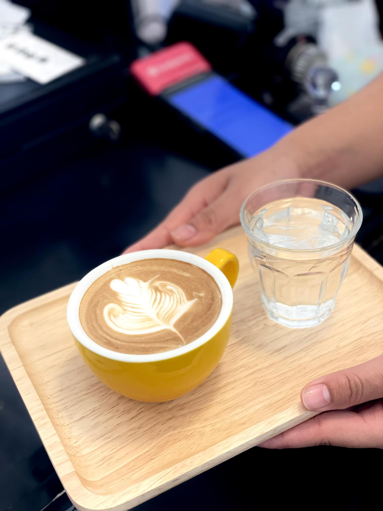 Simple Things, Mindset Cafe, GIVEANDTAKE Cafe House, เถียงนา Coffee and Bakery Farm, TARA Kaffee&amp;Patisserie', Mood Cafe, View doi Coffee Home, One Day One Cafe', สวนพร้าว คาเฟ่, A Little Craft Cafe, Braverly, สวนป่าตากา คาเฟ่, SOON CAFE, Ava Cafe’, Charfinn cafe’, PlumucH, Harmonica 2, River Bar Cafe, Chavee Cafe, TonTong Cafe, สวนเหนือกาแฟ, Diff desofto, สายหวานคาเฟ่, Kyoto Shi Cafe, DRIP GAN, Move on - มูฟออน