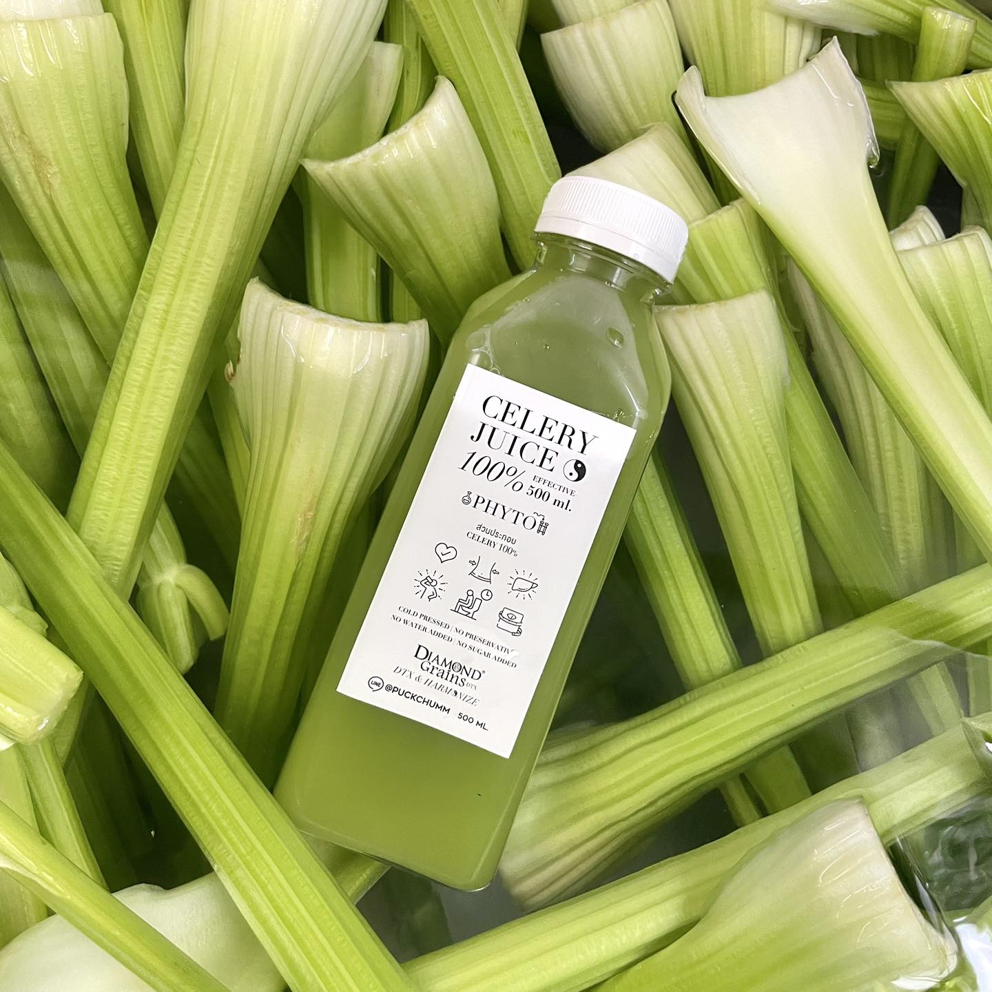 ผักฉ่ำ คำหอม, QULI Cold Pressed Juice, WYO.Juicebar, BEEP HPP Cold-Pressed, Roots, Own Your Own Fresh, Fruitstop, My Everyday Juice, น้ำผักผลไม้สกัดเย็น100%GOOD DRINK, ปลูกปั่น