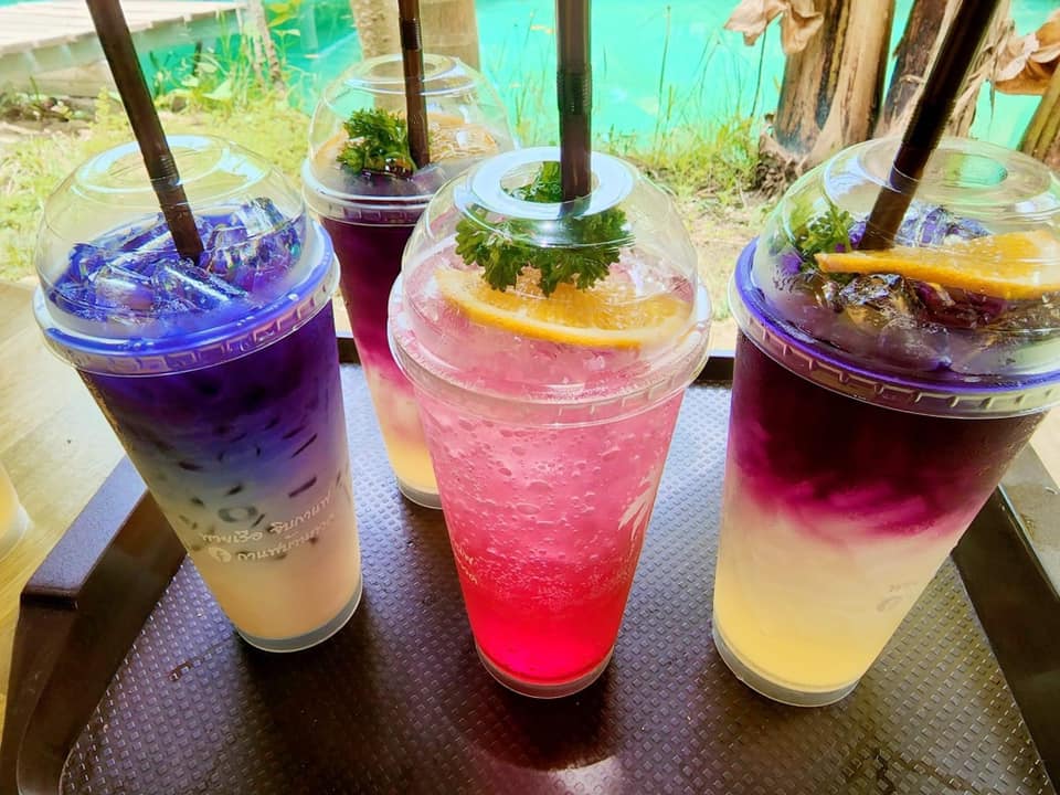 CURVE, STIRR Coffee, Haus Coffee and Space, SeaSeoul cafe, 1degreesnorth, Kongkang Kafe, กาเเฟริมน้ำ บ้านชูใจ, สวนก๋ง, กาแฟบ้านทวด, COFFEE BEACH, Jump at Sea, Whitebeam coffee &amp; eatery