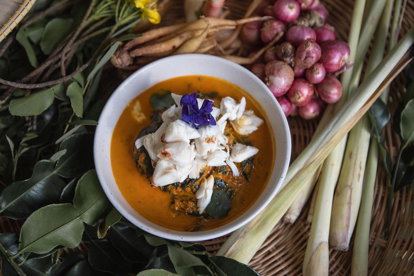 บ้านสวย ในสวน, Siam Brasserie , The Treehouse Nongchok, Natura Cafe, BaanNaiSuan Cafe&amp;Yoga, Patom, Portobello &amp; Désiré, ครัวบ้านสวนสุวรรณ, ร้านอาหารฐิตารีย์ สวนรถไฟ จตุจักร, บ้านสวน อบอวลรัก