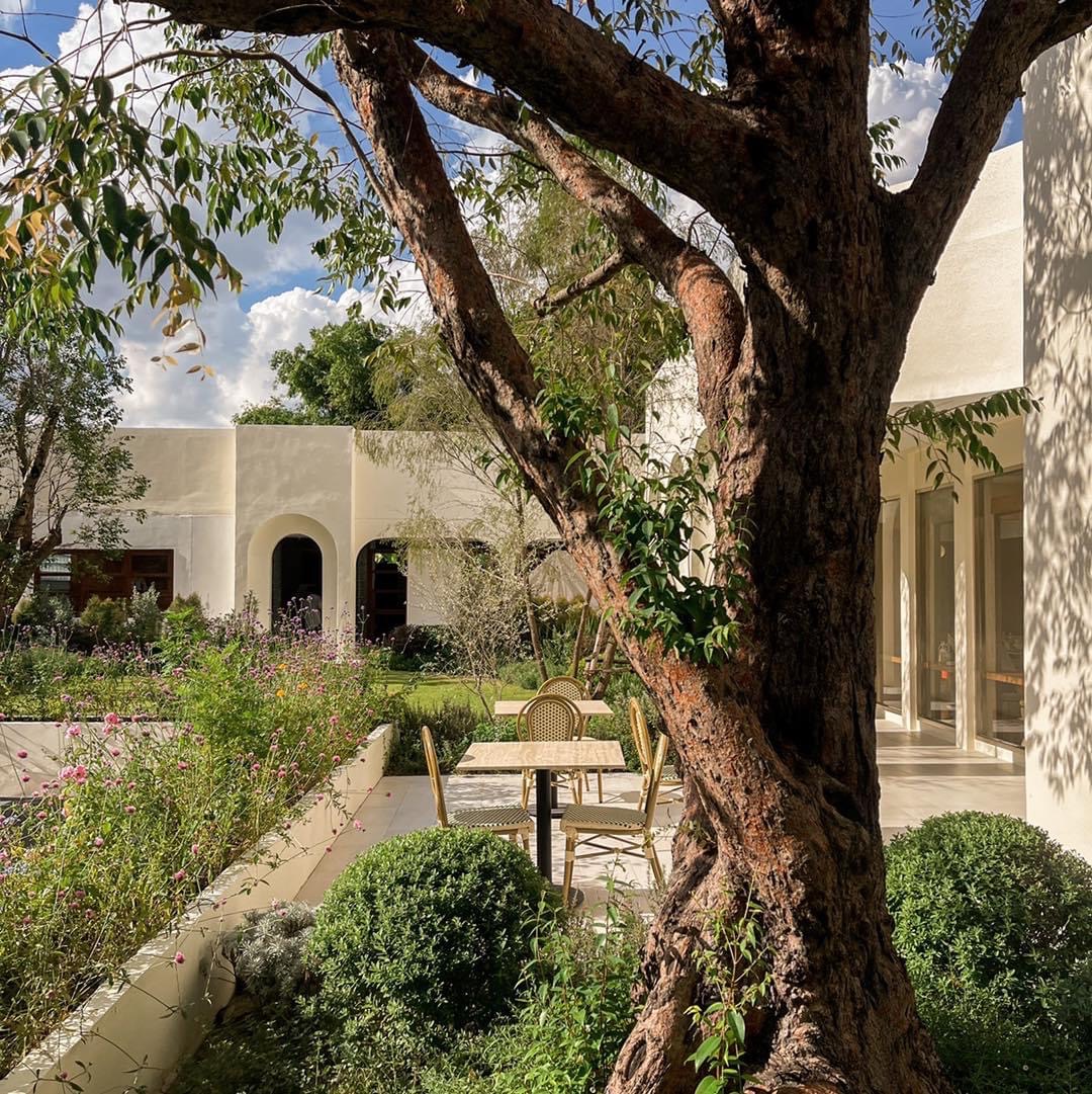 HOLIDAY PASTRY, The Rolling Pinn, Bake De Fleur, Sweet Me Bakery, PAUL Thailand, Radi, TWG Tea Salon, Cafe de Tu