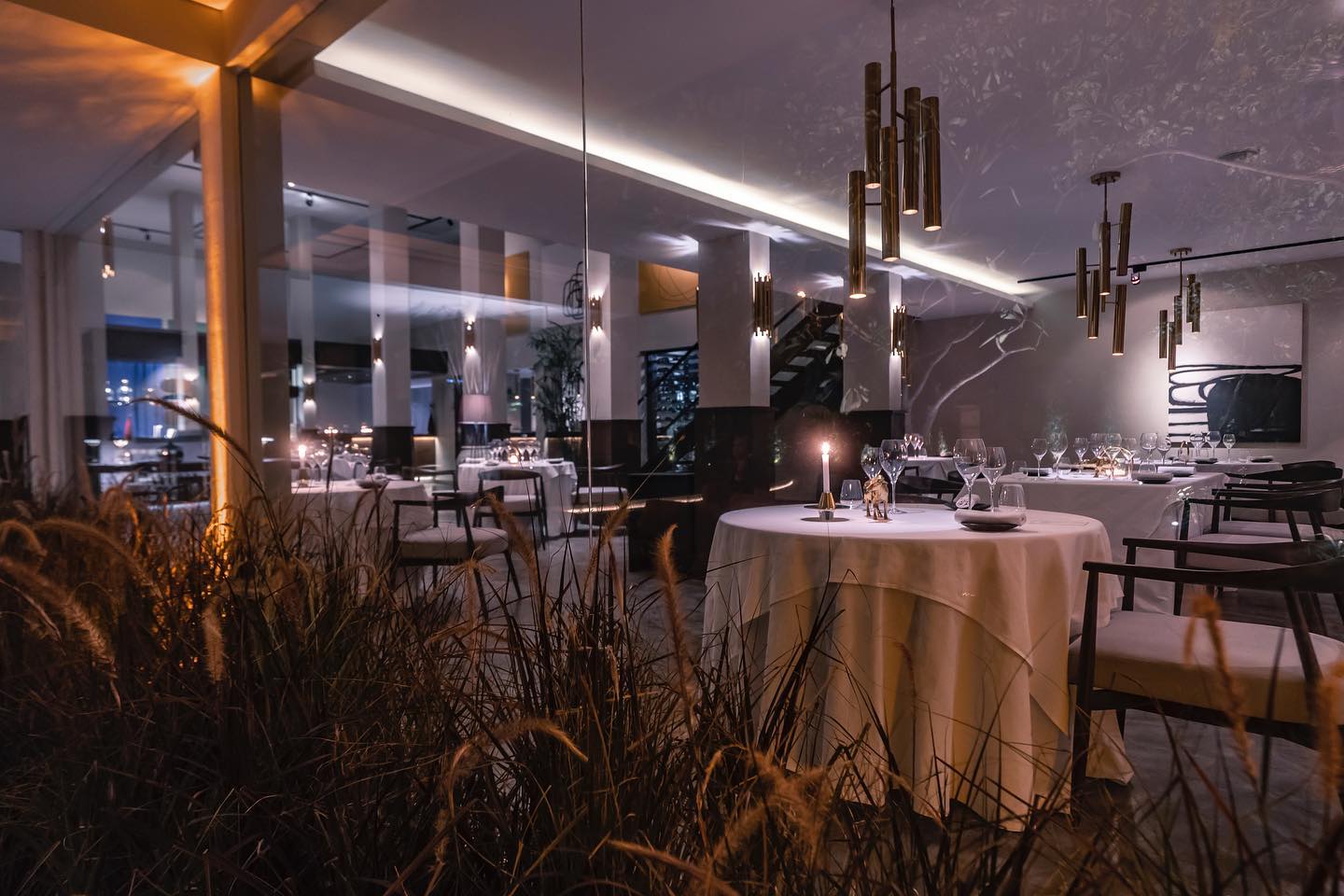 Ms.Jigger, Contento, SIWILAI CITY CLUB, ARTUR Restaurant, CLARA, Place Bangkok, YELLOW ROOF, Cat on the roof, Samsen Villa