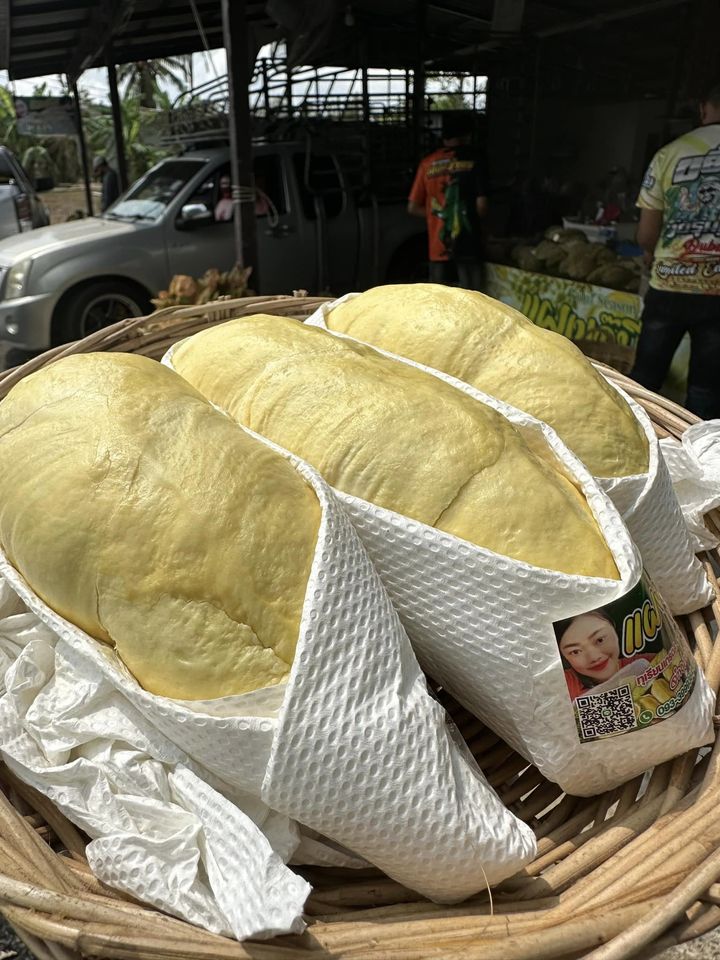 ทุเรียนหมอนทองจันทบุรี, Fresh Mate, ทุเรียนหมอนทองตลอดปี, ทุเรียนเฮียถุง Delivery, ทุเรียนน้องนิด, เจ้แหม่ม ผลไม้ &amp; ทุเรียน, aDay Fresh, Mr.Fruity ทุเรียนสด Delivery, ทุเรียนเจ๊ฟีม ตลาดสี่มุมเมือง, Siam Golden Fruit, ทุเรียน Delivery ส่งด่วนใน1ชั่วโมง