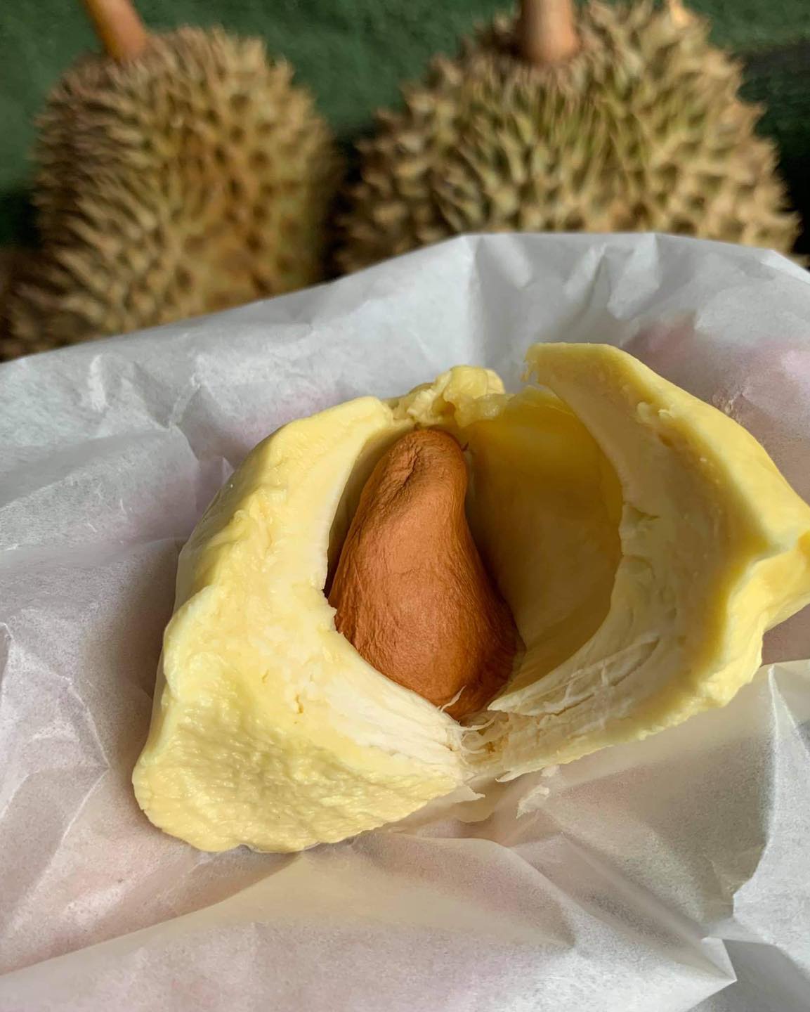 ทุเรียนหมอนทองจันทบุรี, Fresh Mate, ทุเรียนหมอนทองตลอดปี, ทุเรียนเฮียถุง Delivery, ทุเรียนน้องนิด, เจ้แหม่ม ผลไม้ &amp; ทุเรียน, aDay Fresh, Mr.Fruity ทุเรียนสด Delivery, ทุเรียนเจ๊ฟีม ตลาดสี่มุมเมือง, Siam Golden Fruit, ทุเรียน Delivery ส่งด่วนใน1ชั่วโมง