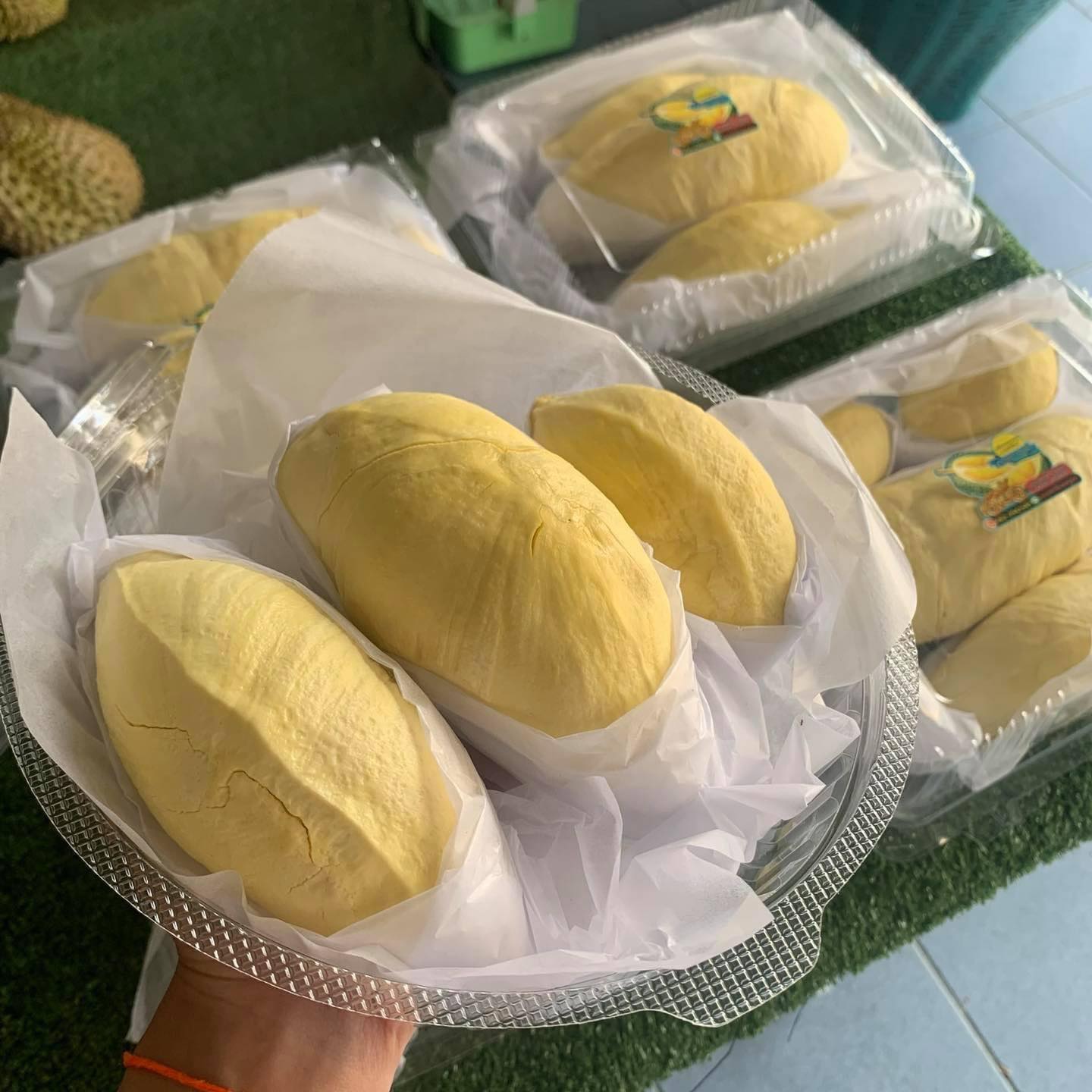 ทุเรียนหมอนทองจันทบุรี, Fresh Mate, ทุเรียนหมอนทองตลอดปี, ทุเรียนเฮียถุง Delivery, ทุเรียนน้องนิด, เจ้แหม่ม ผลไม้ &amp; ทุเรียน, aDay Fresh, Mr.Fruity ทุเรียนสด Delivery, ทุเรียนเจ๊ฟีม ตลาดสี่มุมเมือง, Siam Golden Fruit, ทุเรียน Delivery ส่งด่วนใน1ชั่วโมง