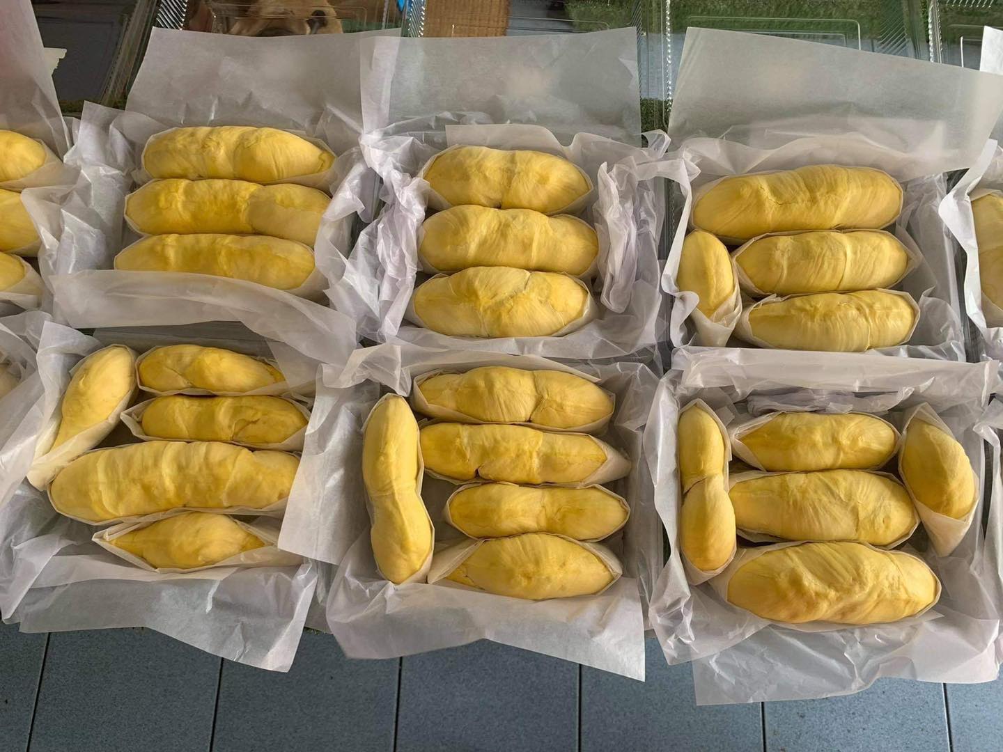 ทุเรียนหมอนทองจันทบุรี, Fresh Mate, ทุเรียนหมอนทองตลอดปี, ทุเรียนเฮียถุง Delivery, ทุเรียนน้องนิด, เจ้แหม่ม ผลไม้ &amp; ทุเรียน, aDay Fresh, Mr.Fruity ทุเรียนสด Delivery, ทุเรียนเจ๊ฟีม ตลาดสี่มุมเมือง, Siam Golden Fruit, ทุเรียน Delivery ส่งด่วนใน1ชั่วโมง