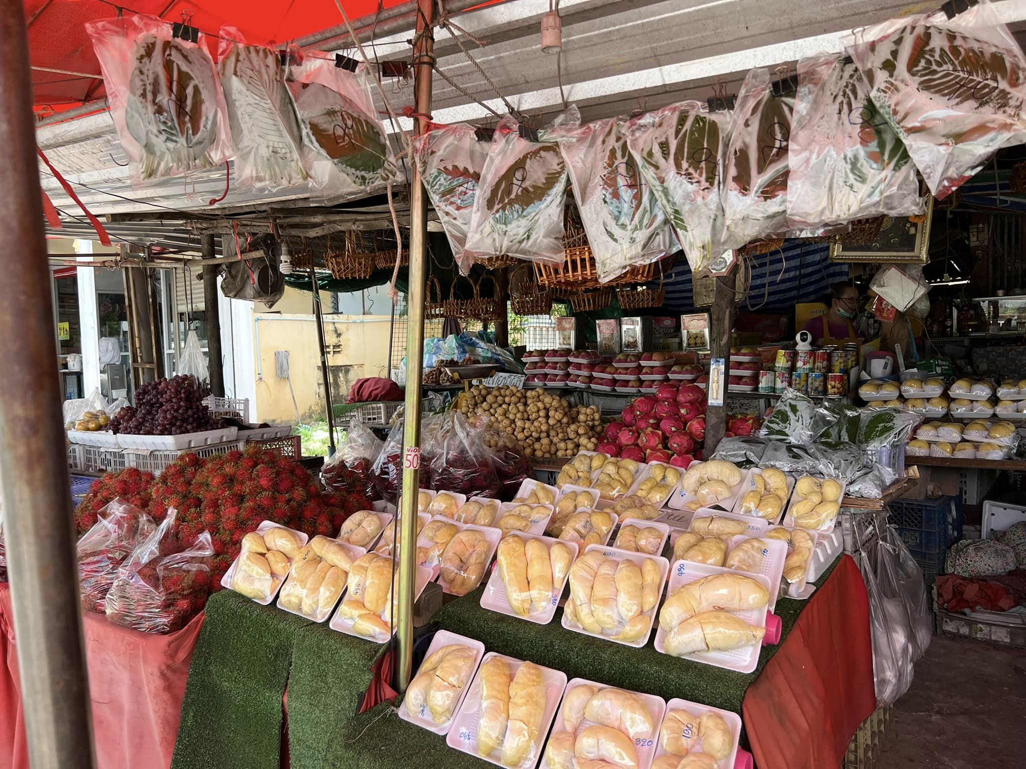 ทุเรียนหมอนทองจันทบุรี, Fresh Mate, ทุเรียนหมอนทองตลอดปี, ทุเรียนเฮียถุง Delivery, ทุเรียนน้องนิด, เจ้แหม่ม ผลไม้ &amp; ทุเรียน, aDay Fresh, Mr.Fruity ทุเรียนสด Delivery, ทุเรียนเจ๊ฟีม ตลาดสี่มุมเมือง, Siam Golden Fruit, ทุเรียน Delivery ส่งด่วนใน1ชั่วโมง