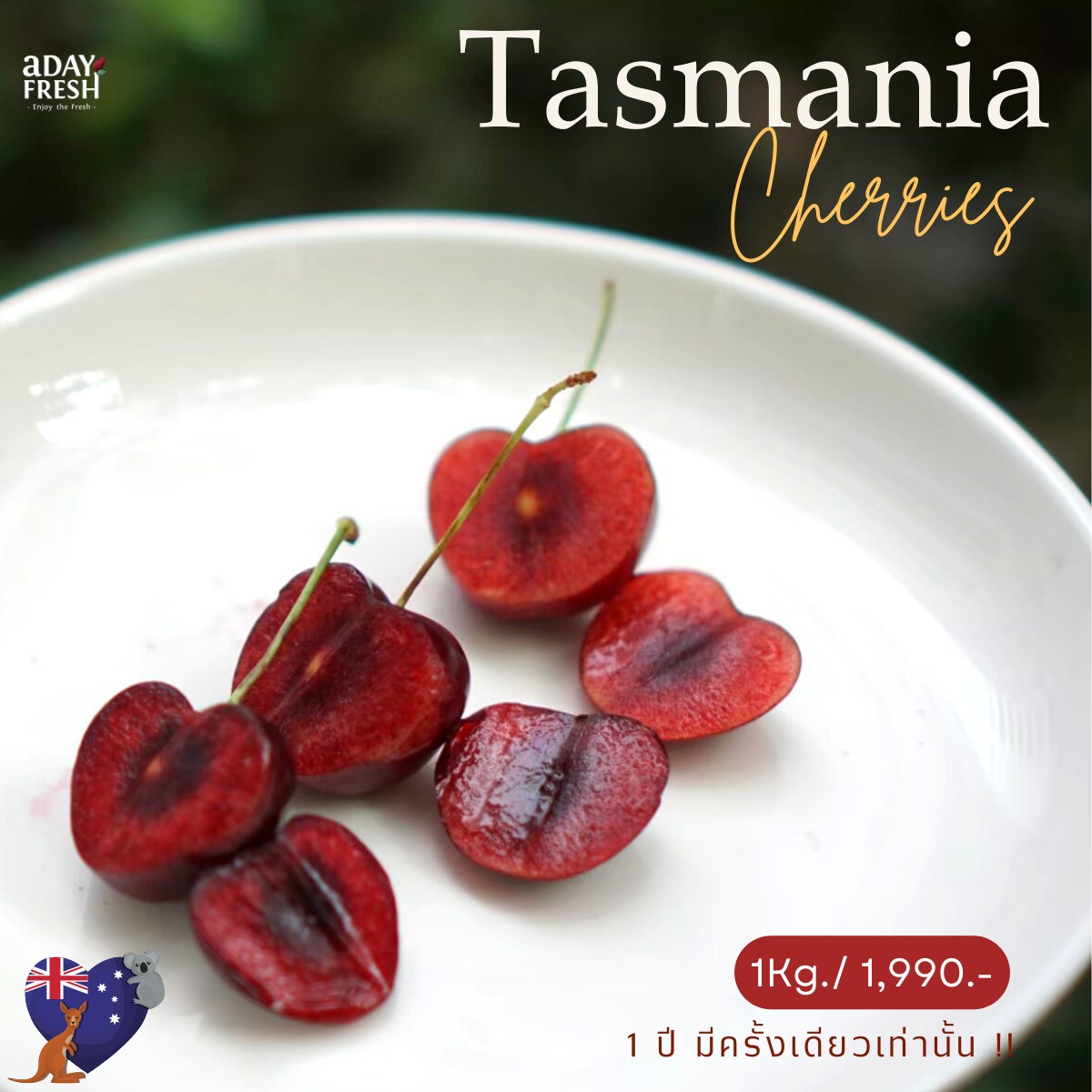 ทุเรียนหมอนทองจันทบุรี, Fresh Mate, ทุเรียนหมอนทองตลอดปี, ทุเรียนเฮียถุง Delivery, ทุเรียนน้องนิด, เจ้แหม่ม ผลไม้ &amp; ทุเรียน, aDay Fresh, Mr.Fruity ทุเรียนสด Delivery, ทุเรียนเจ๊ฟีม ตลาดสี่มุมเมือง, Siam Golden Fruit, ทุเรียน Delivery ส่งด่วนใน1ชั่วโมง