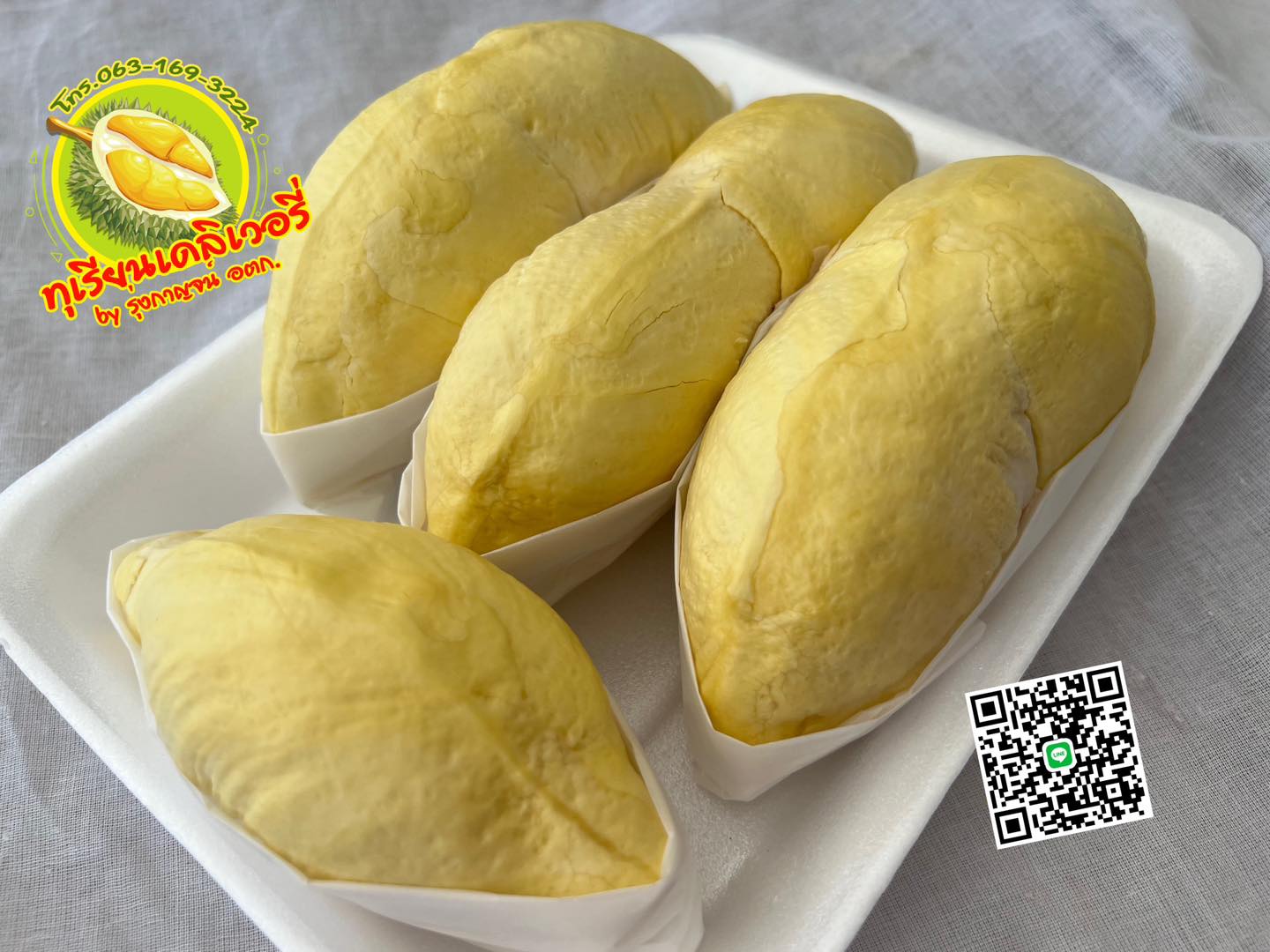 ทุเรียนหมอนทองจันทบุรี, Fresh Mate, ทุเรียนหมอนทองตลอดปี, ทุเรียนเฮียถุง Delivery, ทุเรียนน้องนิด, เจ้แหม่ม ผลไม้ &amp; ทุเรียน, aDay Fresh, Mr.Fruity ทุเรียนสด Delivery, ทุเรียนเจ๊ฟีม ตลาดสี่มุมเมือง, Siam Golden Fruit, ทุเรียน Delivery ส่งด่วนใน1ชั่วโมง