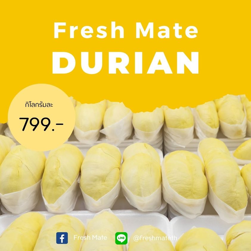 ทุเรียนหมอนทองจันทบุรี, Fresh Mate, ทุเรียนหมอนทองตลอดปี, ทุเรียนเฮียถุง Delivery, ทุเรียนน้องนิด, เจ้แหม่ม ผลไม้ &amp; ทุเรียน, aDay Fresh, Mr.Fruity ทุเรียนสด Delivery, ทุเรียนเจ๊ฟีม ตลาดสี่มุมเมือง, Siam Golden Fruit, ทุเรียน Delivery ส่งด่วนใน1ชั่วโมง