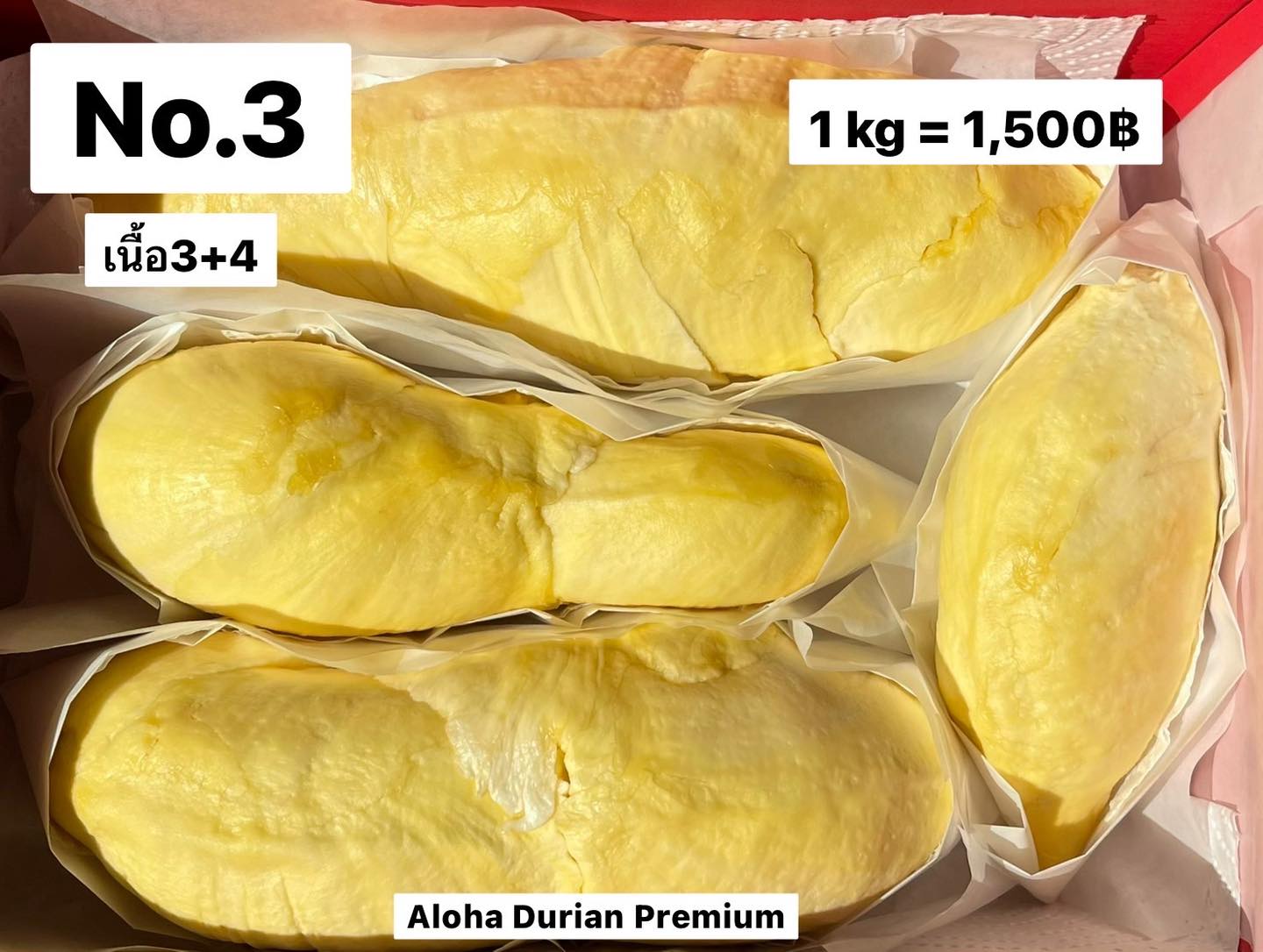 ทุเรียนหมอนทองจันทบุรี, Fresh Mate, ทุเรียนหมอนทองตลอดปี, ทุเรียนเฮียถุง Delivery, ทุเรียนน้องนิด, เจ้แหม่ม ผลไม้ &amp; ทุเรียน, aDay Fresh, Mr.Fruity ทุเรียนสด Delivery, ทุเรียนเจ๊ฟีม ตลาดสี่มุมเมือง, Siam Golden Fruit, ทุเรียน Delivery ส่งด่วนใน1ชั่วโมง