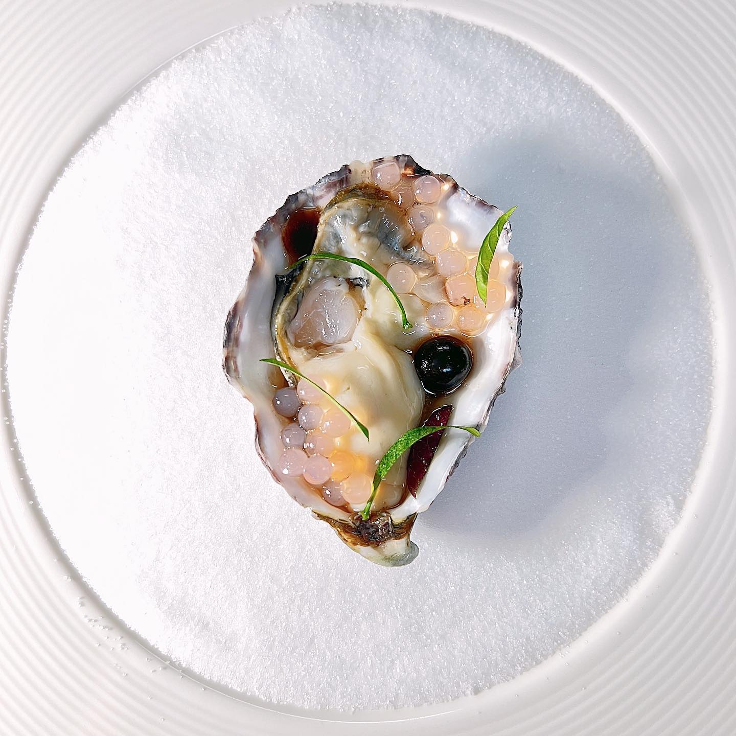 oystermania, The Dock, Lobster &amp; Oyster, เล็ก &amp; รัตน์ซีฟู้ด, Oyster Bay Bangkok